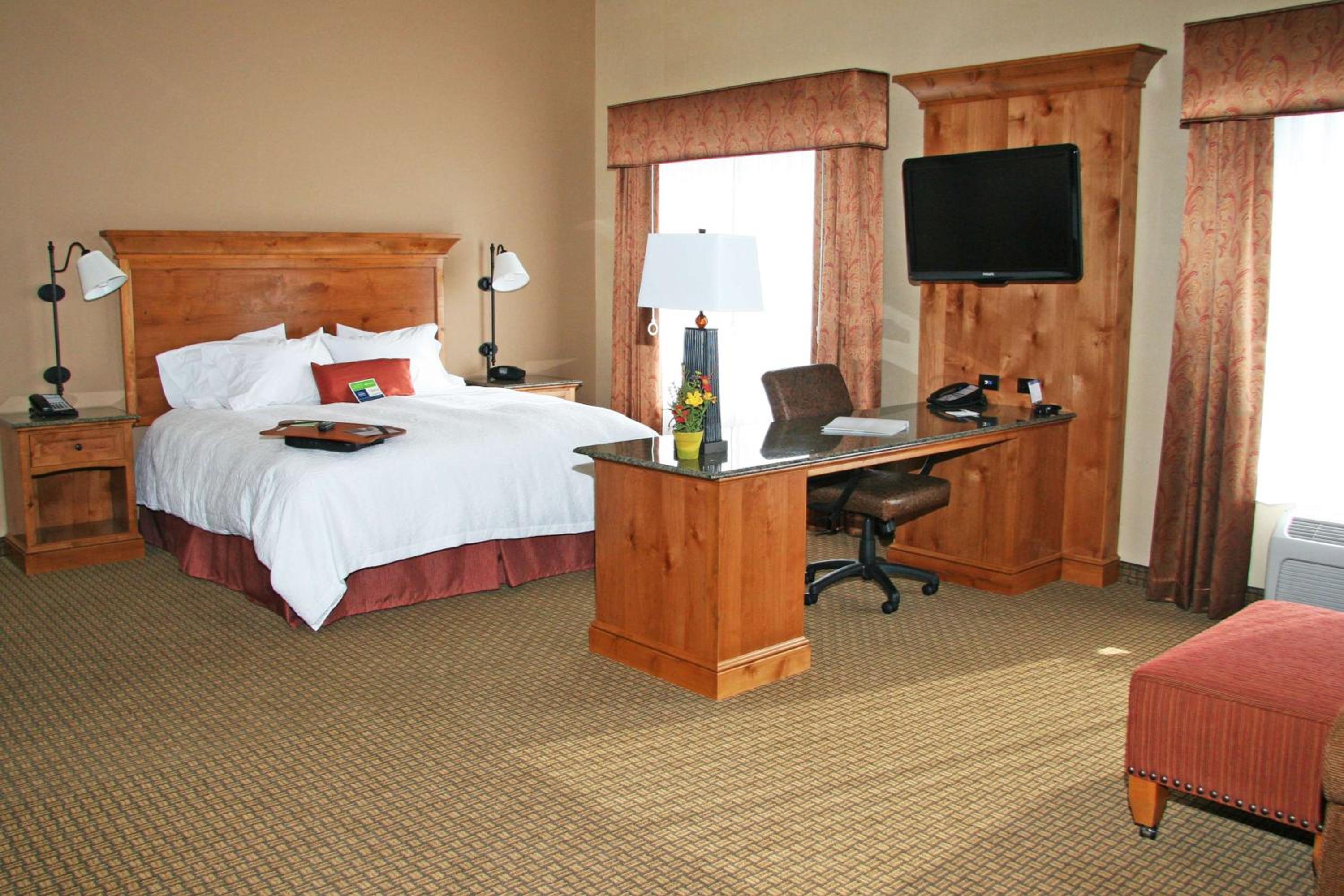 King Studio Suite with Sofa Bed - Non-Smoking - Photo 2