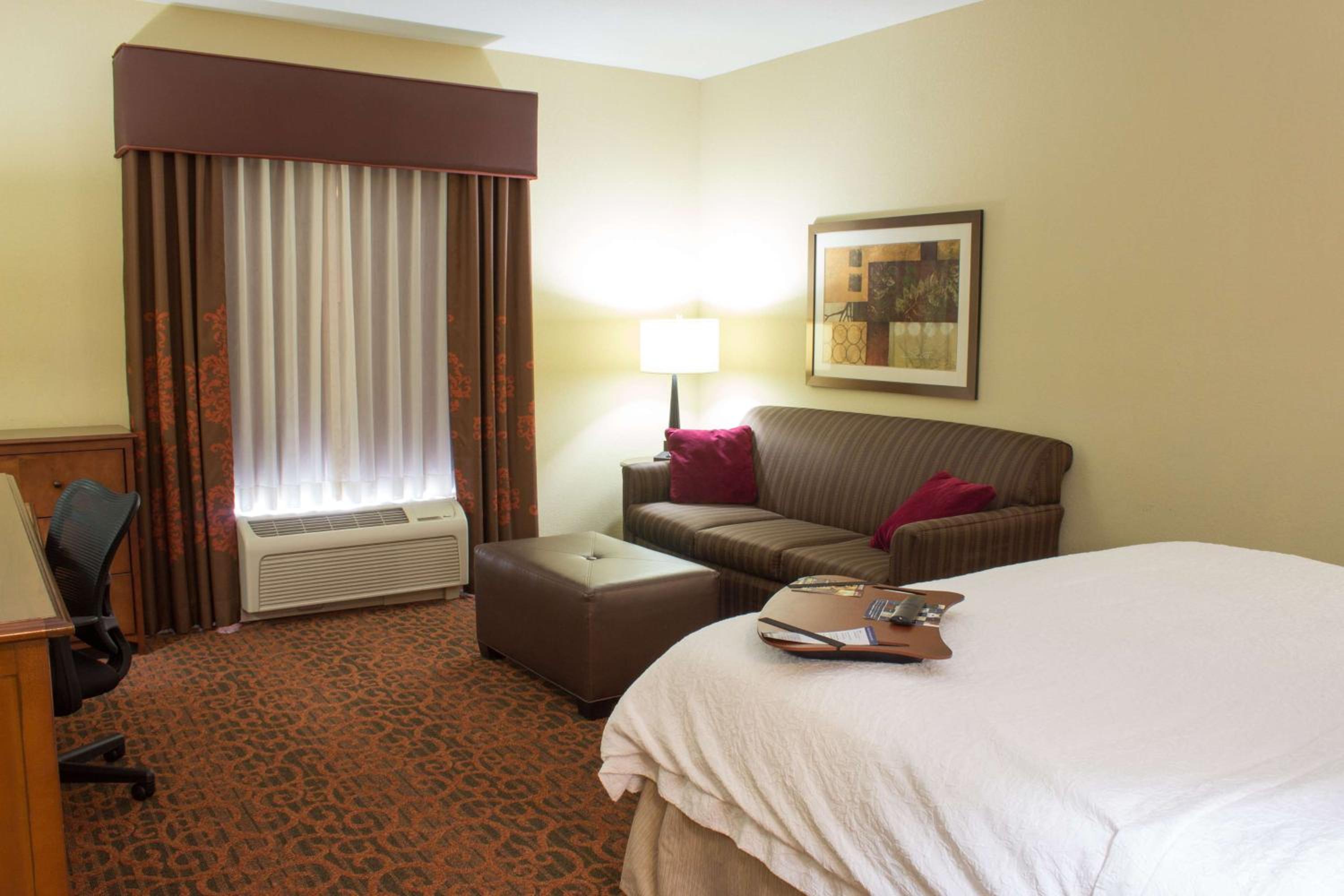 King Studio Suite with Sofa Bed - Non-Smoking - Photo 9
