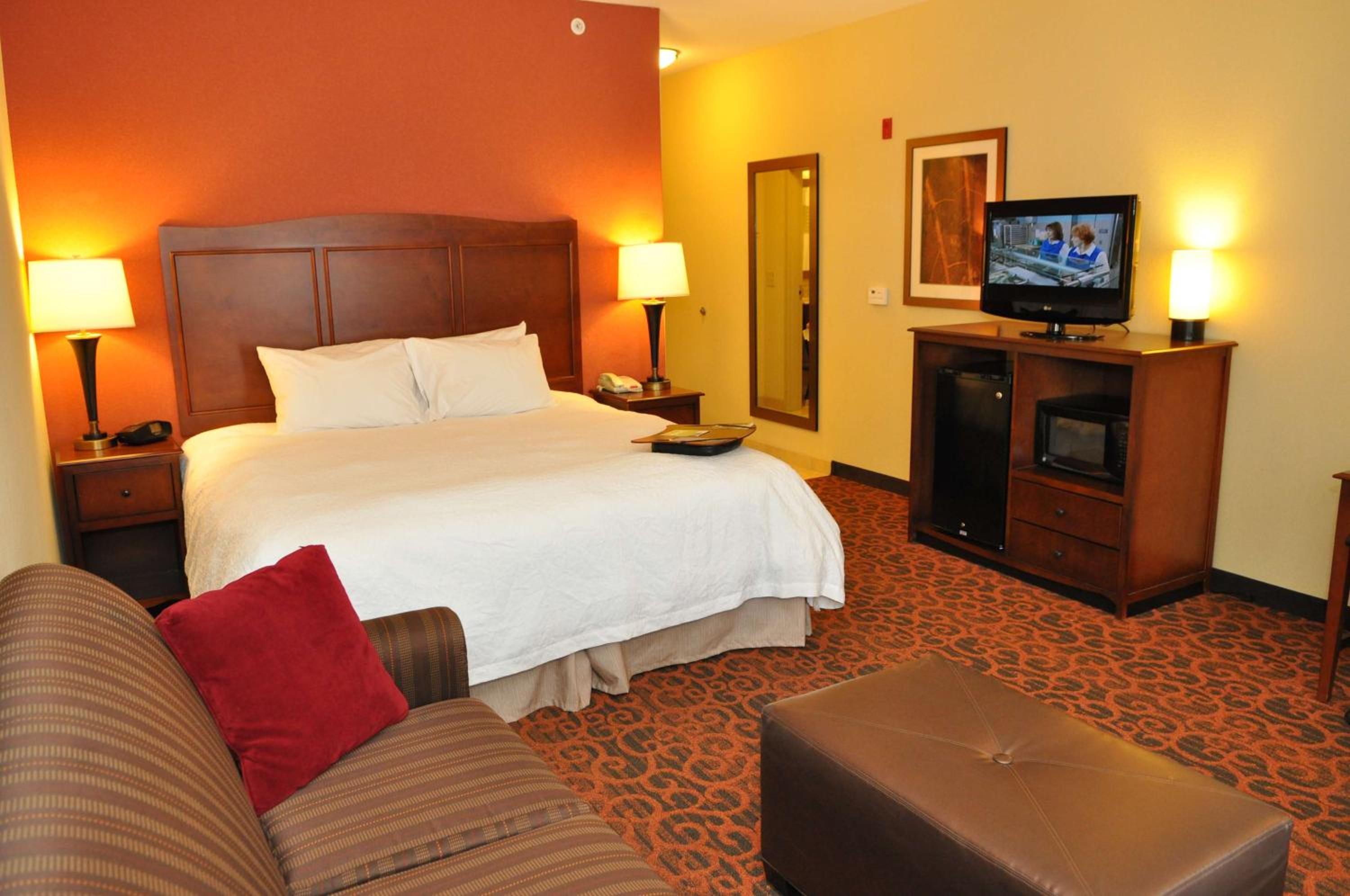 King Studio Suite with Sofa Bed - Non-Smoking - Photo 2