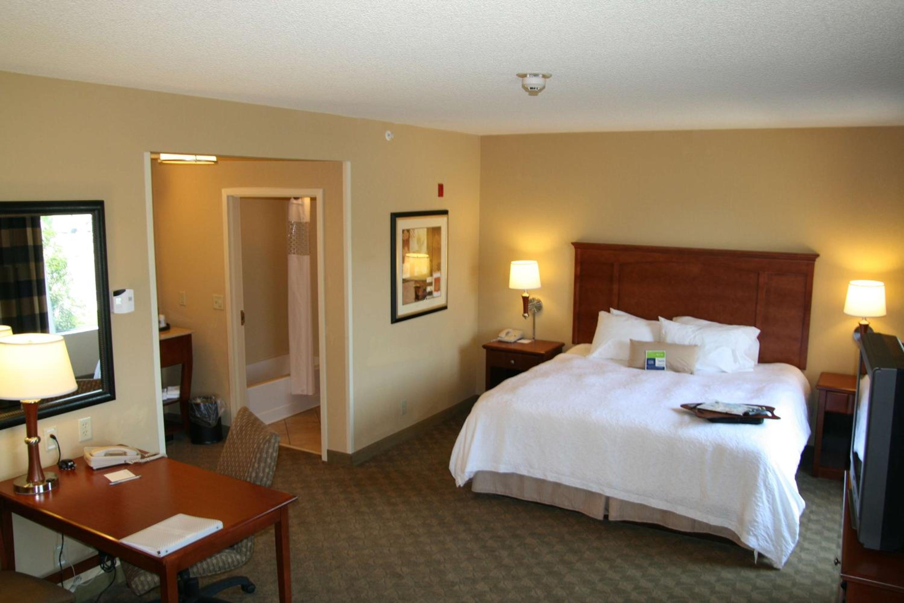 King Studio Suite - Non-Smoking - Photo 1