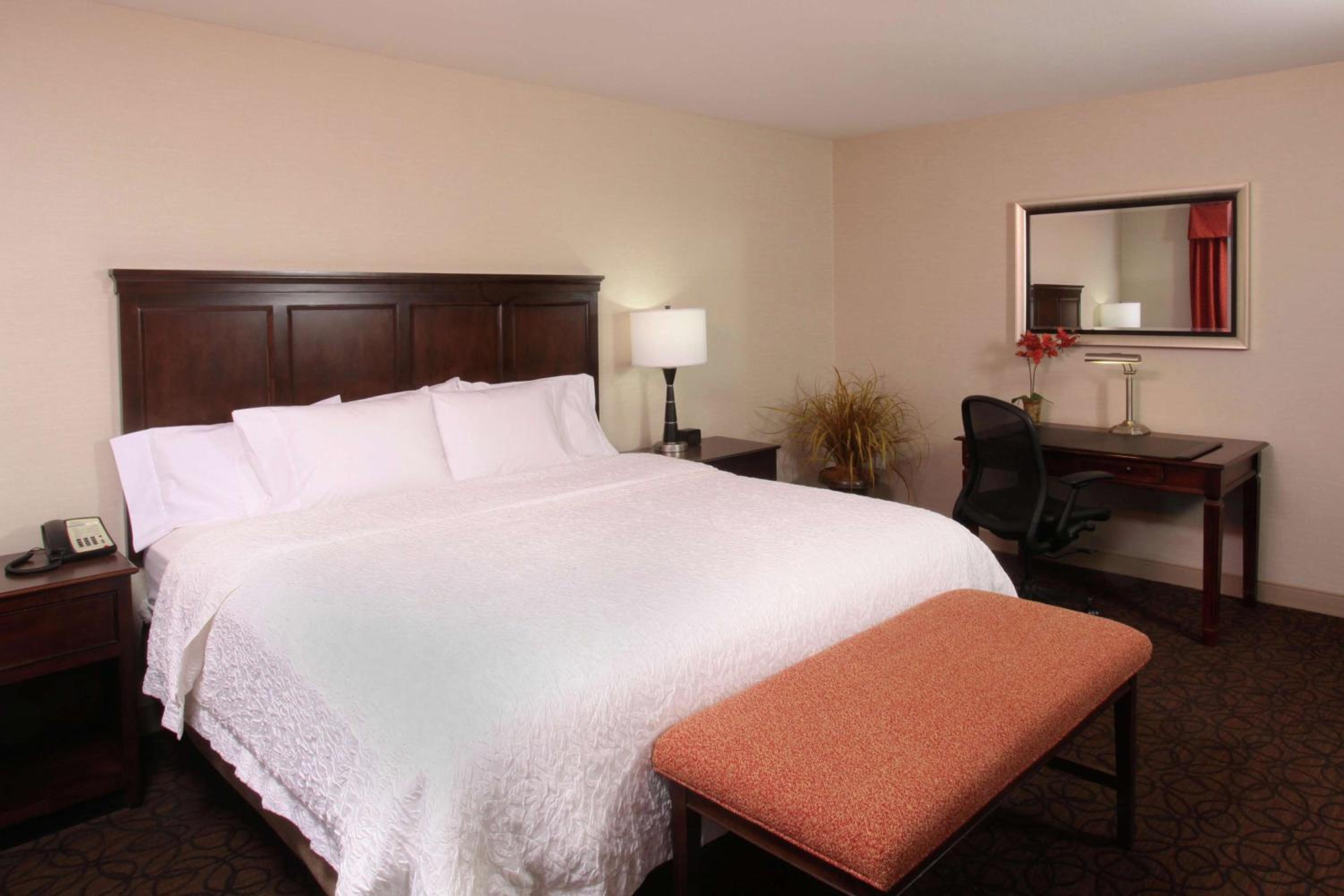 One-Bedroom King Suite- Non-Smoking - Photo 3