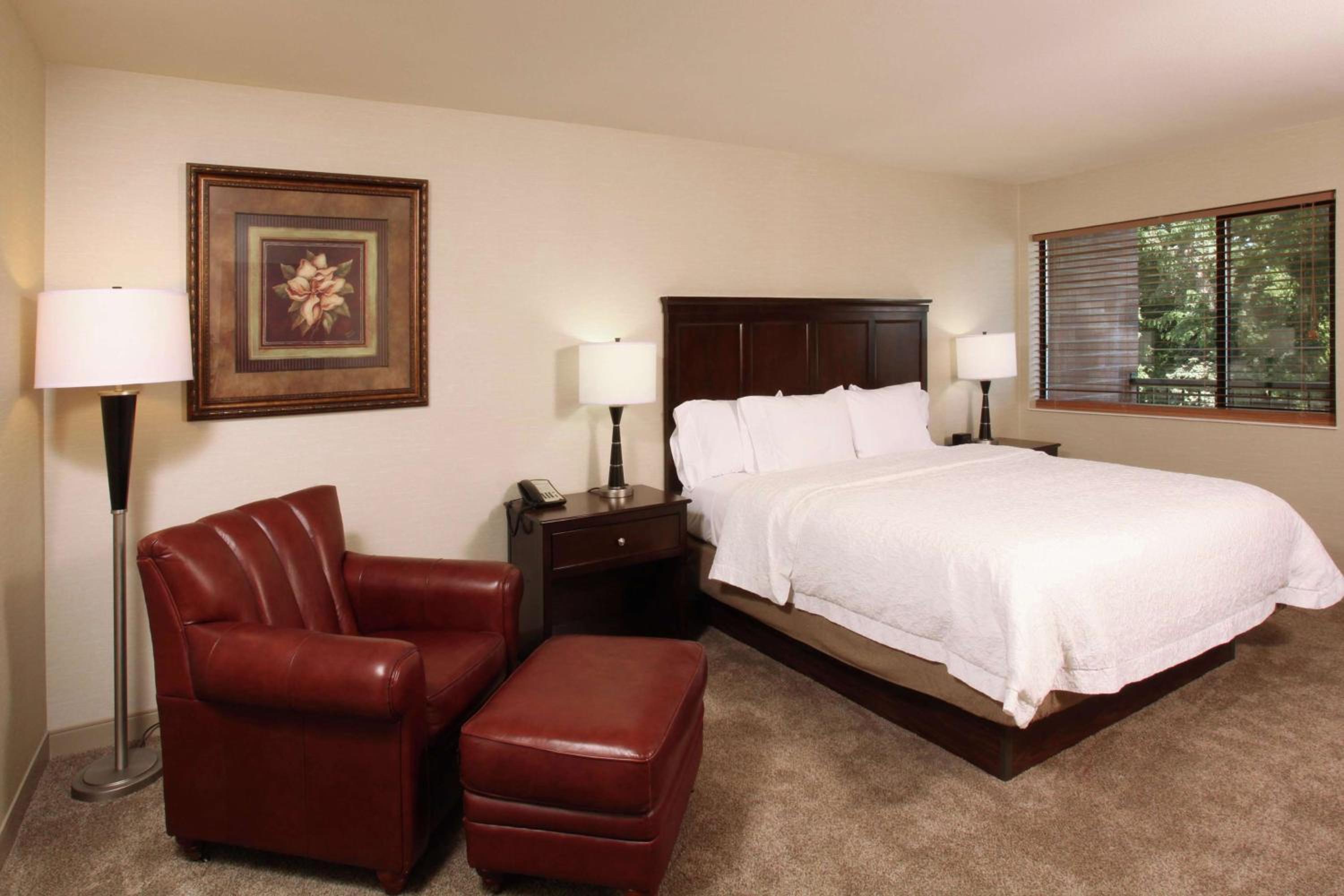 King Suite with River View  photo 3