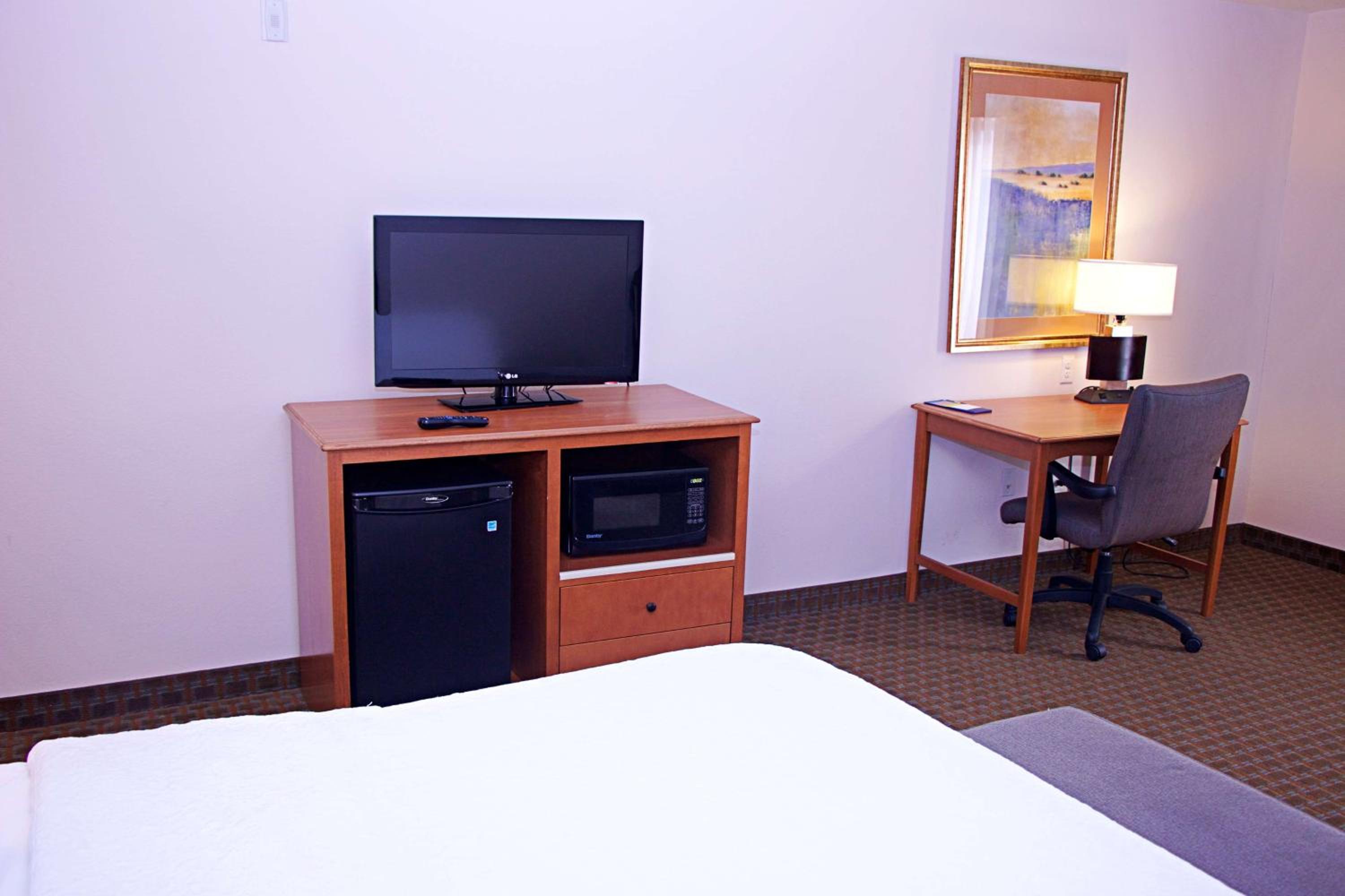 King Studio Suite with Sofa Bed - Non-Smoking - Photo 8