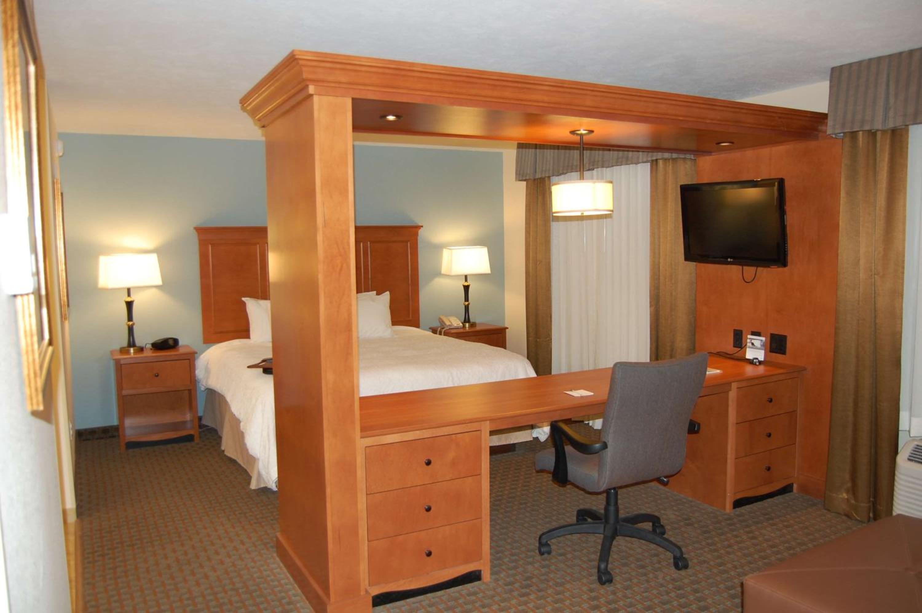 King Studio Suite with Sofa Bed - Non-Smoking - Photo 2