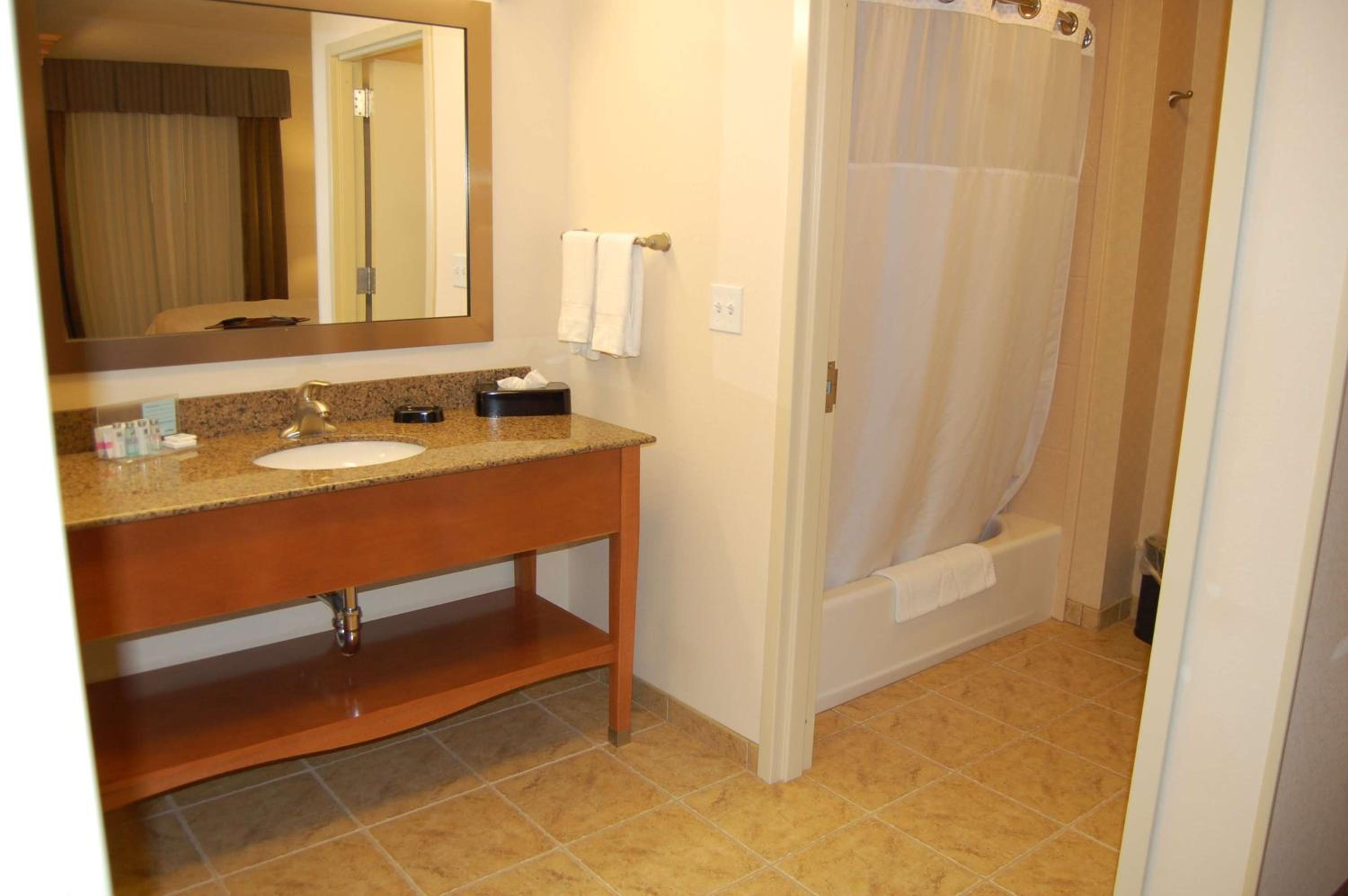 King Studio Suite with Sofa Bed - Non-Smoking - Photo 5