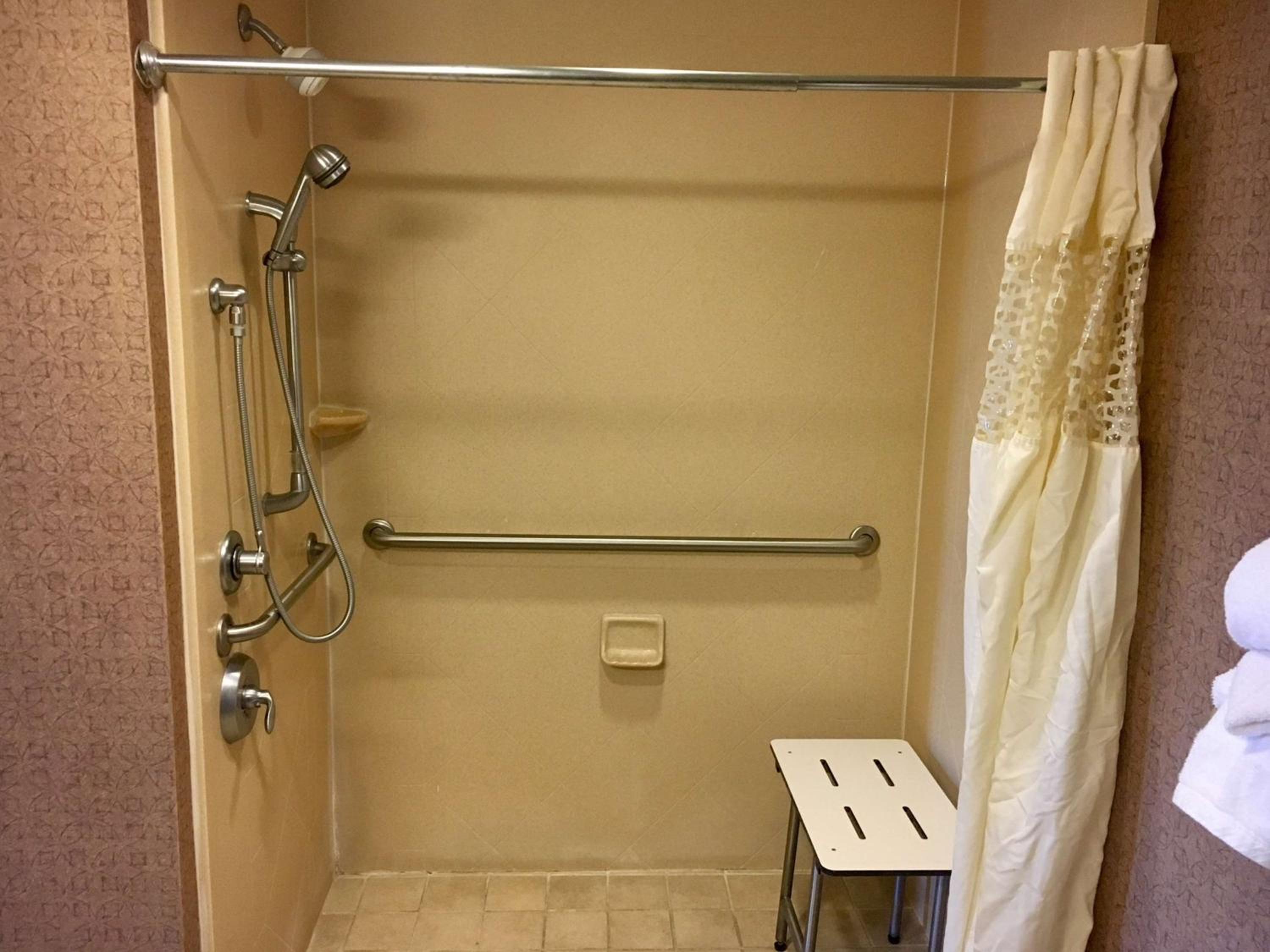King Studio with Roll-In Shower - Mobility and Hearing Access/Non-Smoking - Photo 2