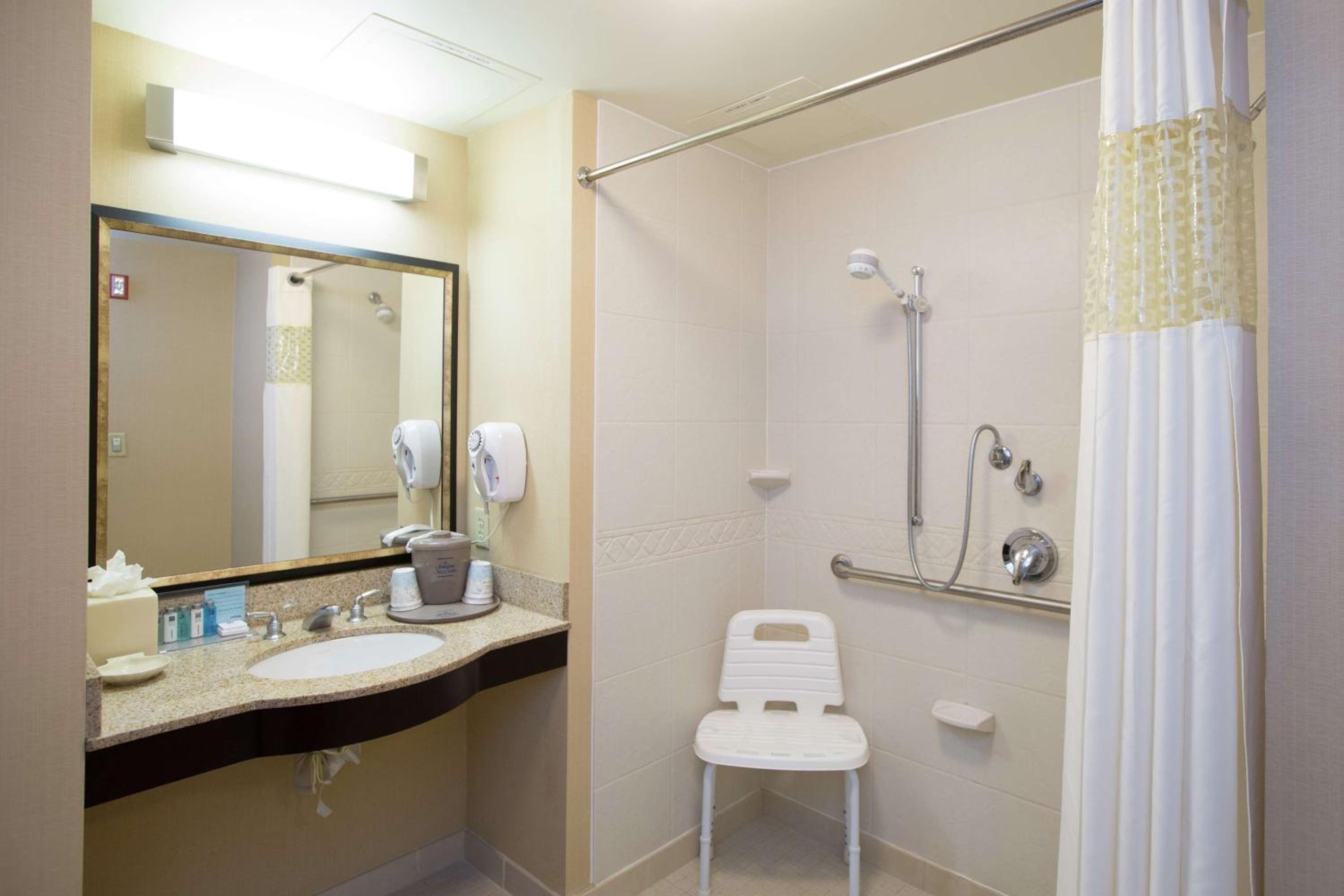 King Room with Roll-In Shower - Mobility Access/Non-Smoking - Photo 3