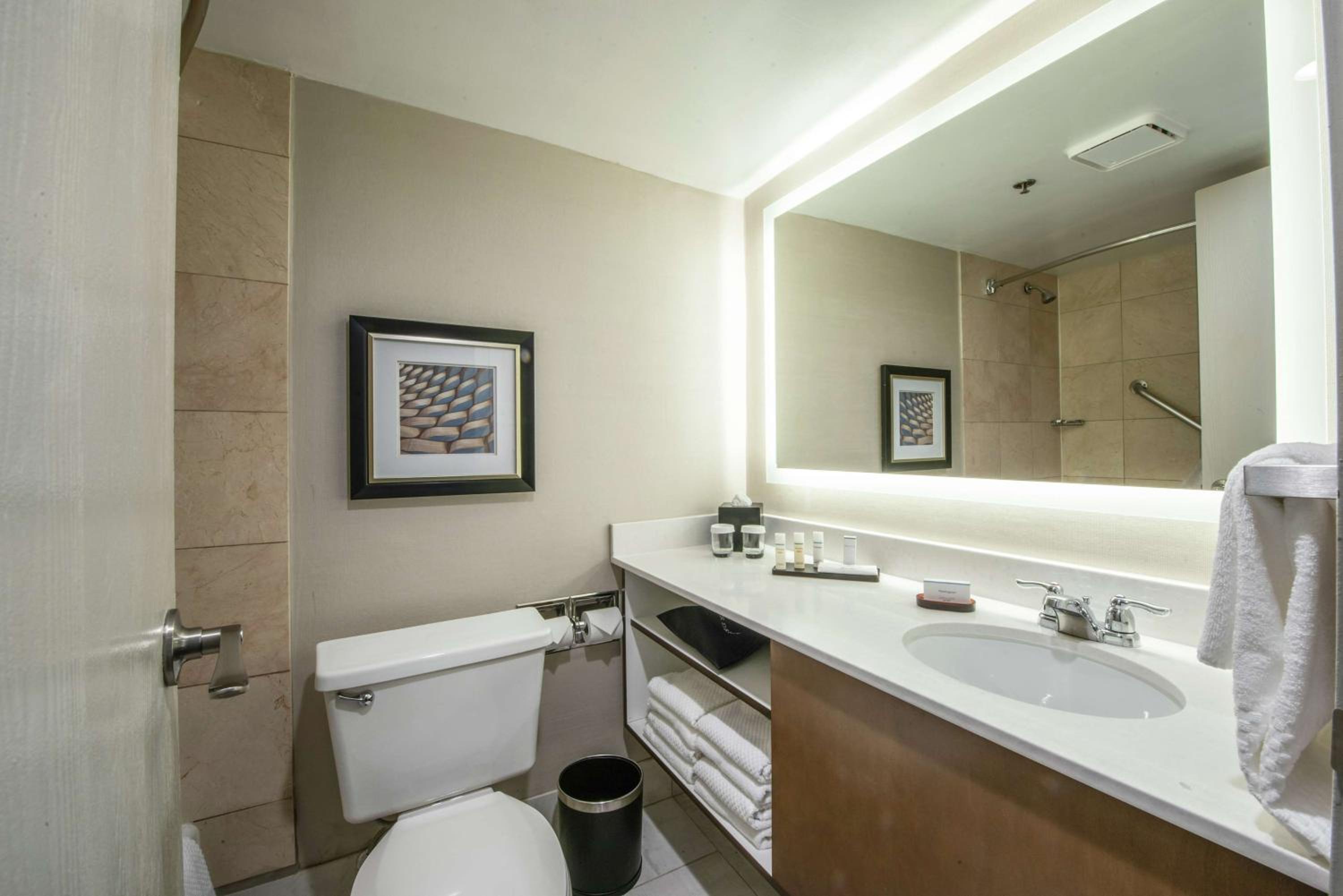 Two-Room King Suite - Non-Smoking - Photo 4