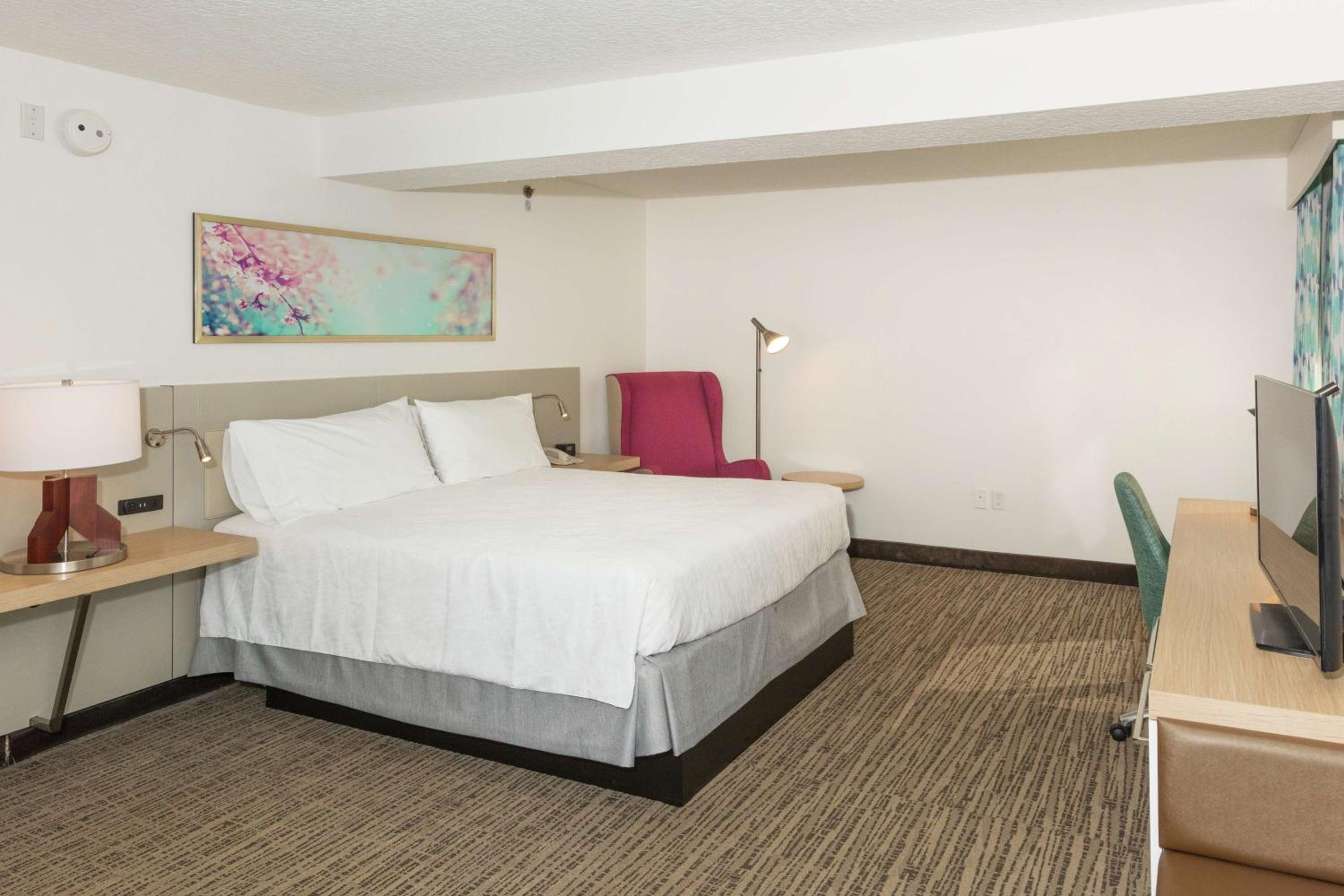 Deluxe Junior Suite - Photo 4
