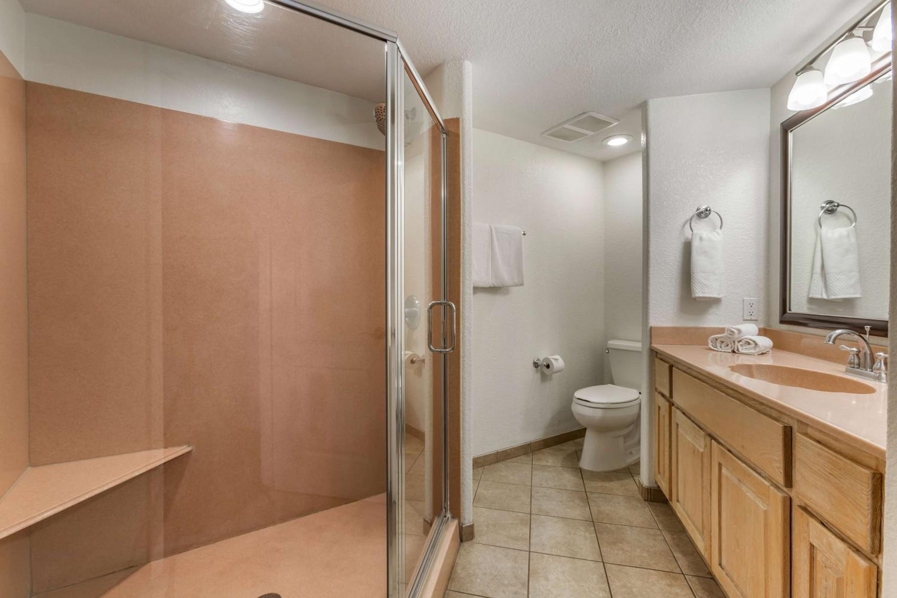 STUDIO 1 QUEEN AND SOFABED - Photo 3