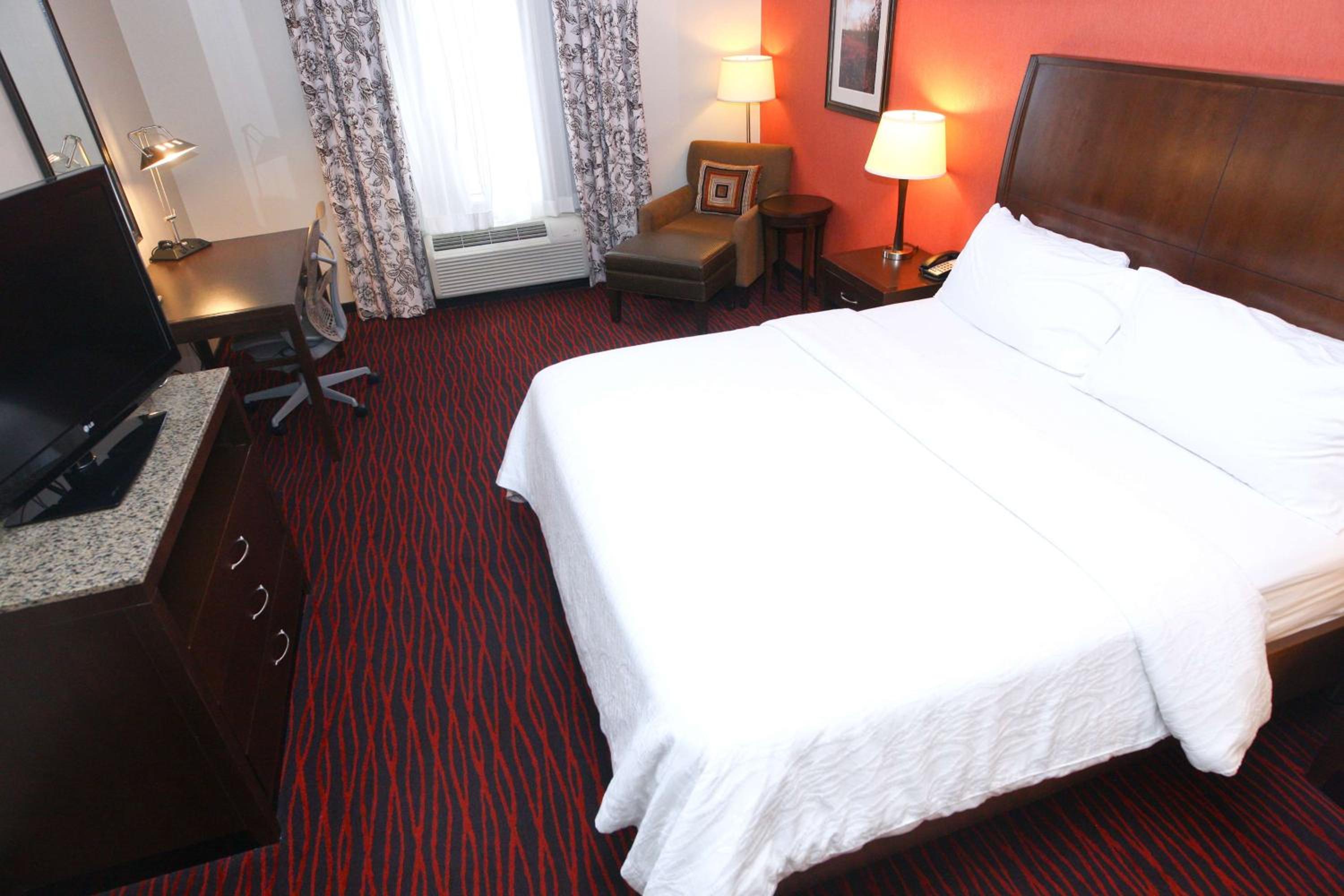 Evolution King Room - Photo 1