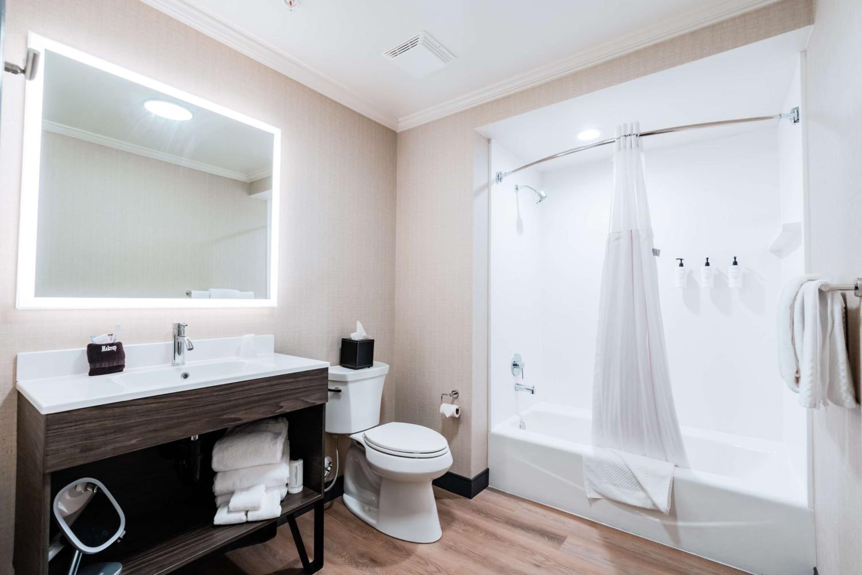 King Studio Suite photo 3