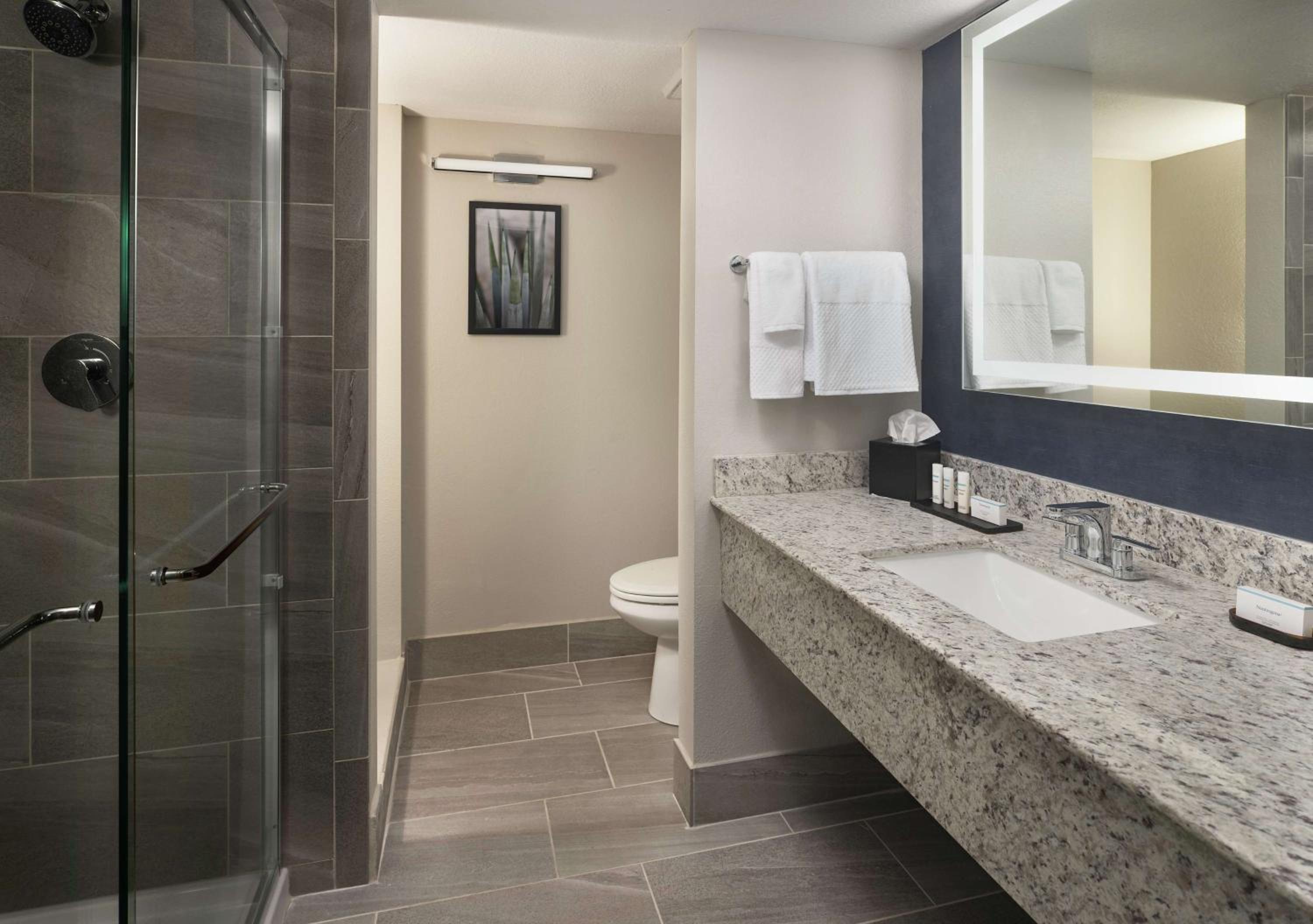 Two-Room King Suite - Photo 3