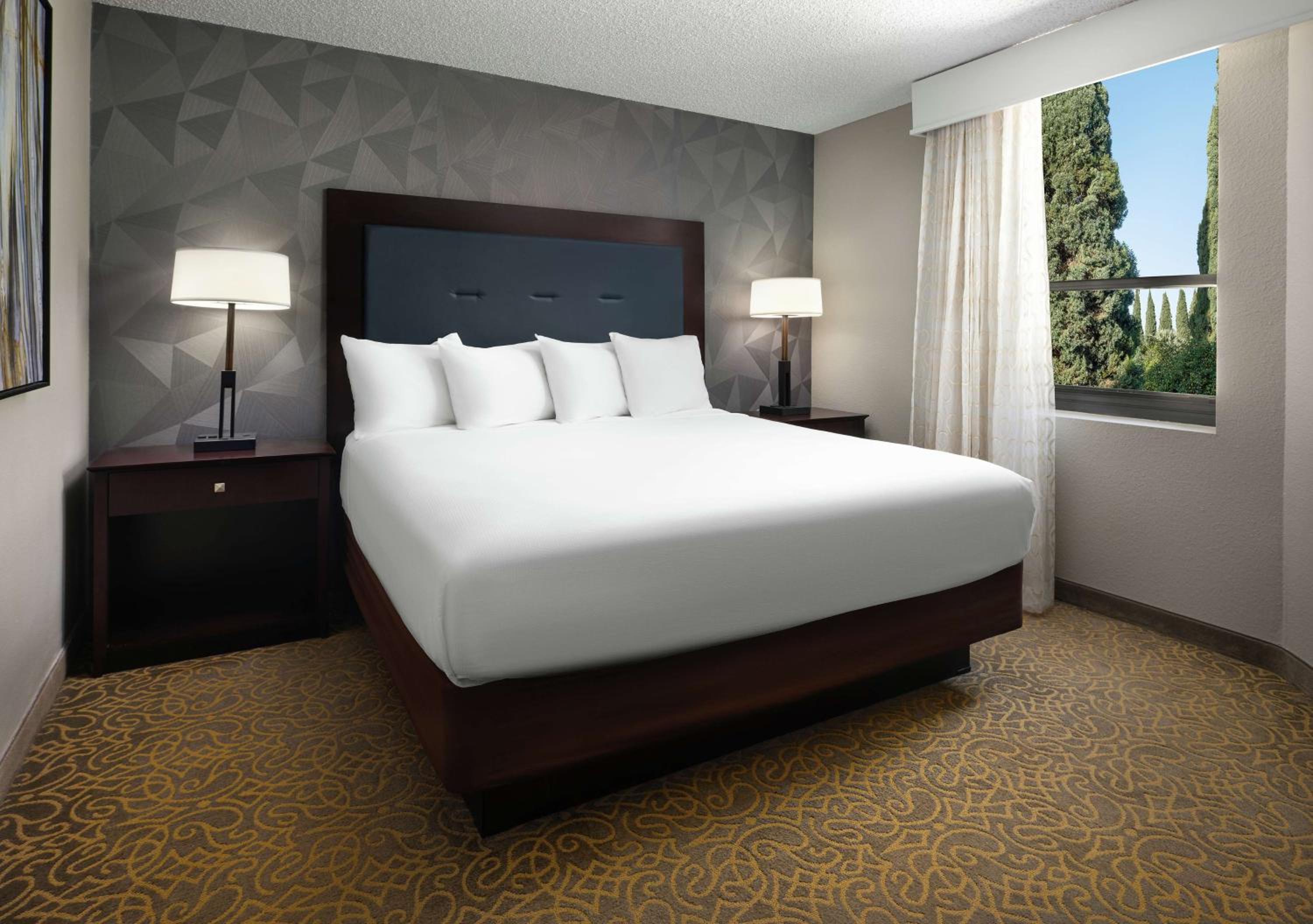 Two-Room King Suite - Photo 5