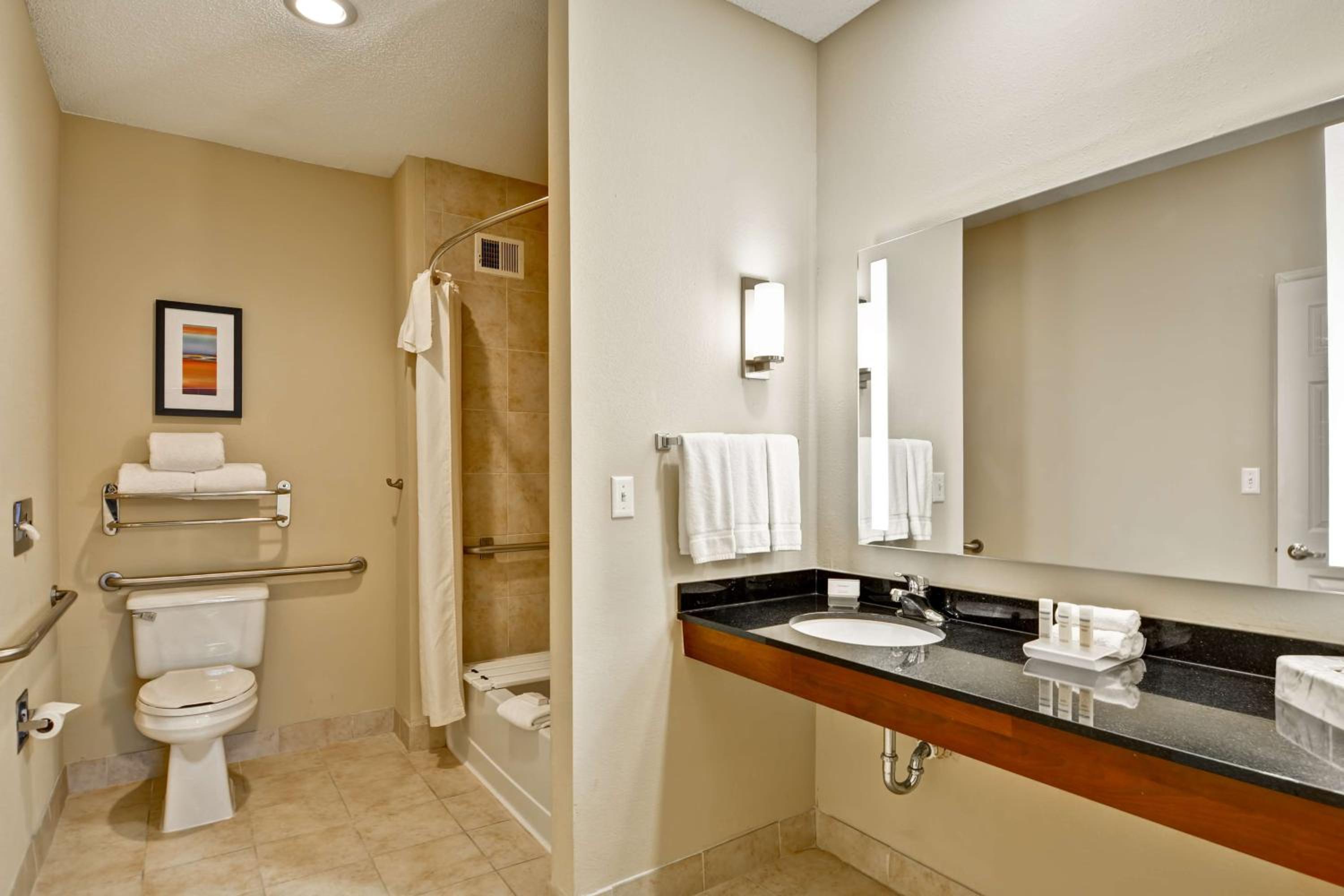 King Suite - Mobility Access/Non-Smoking - Photo 4