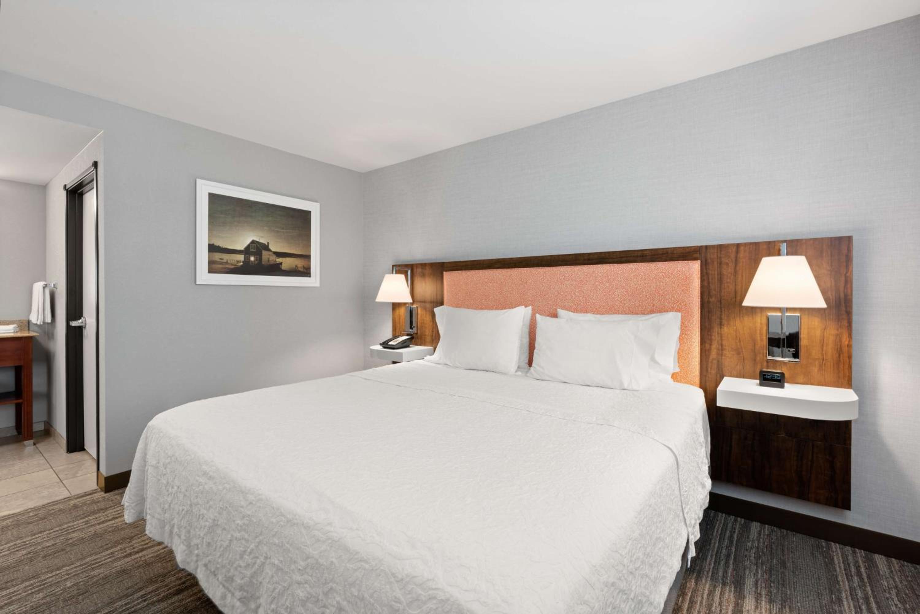 Non-Smoking King Studio Suite with Sofa Bed