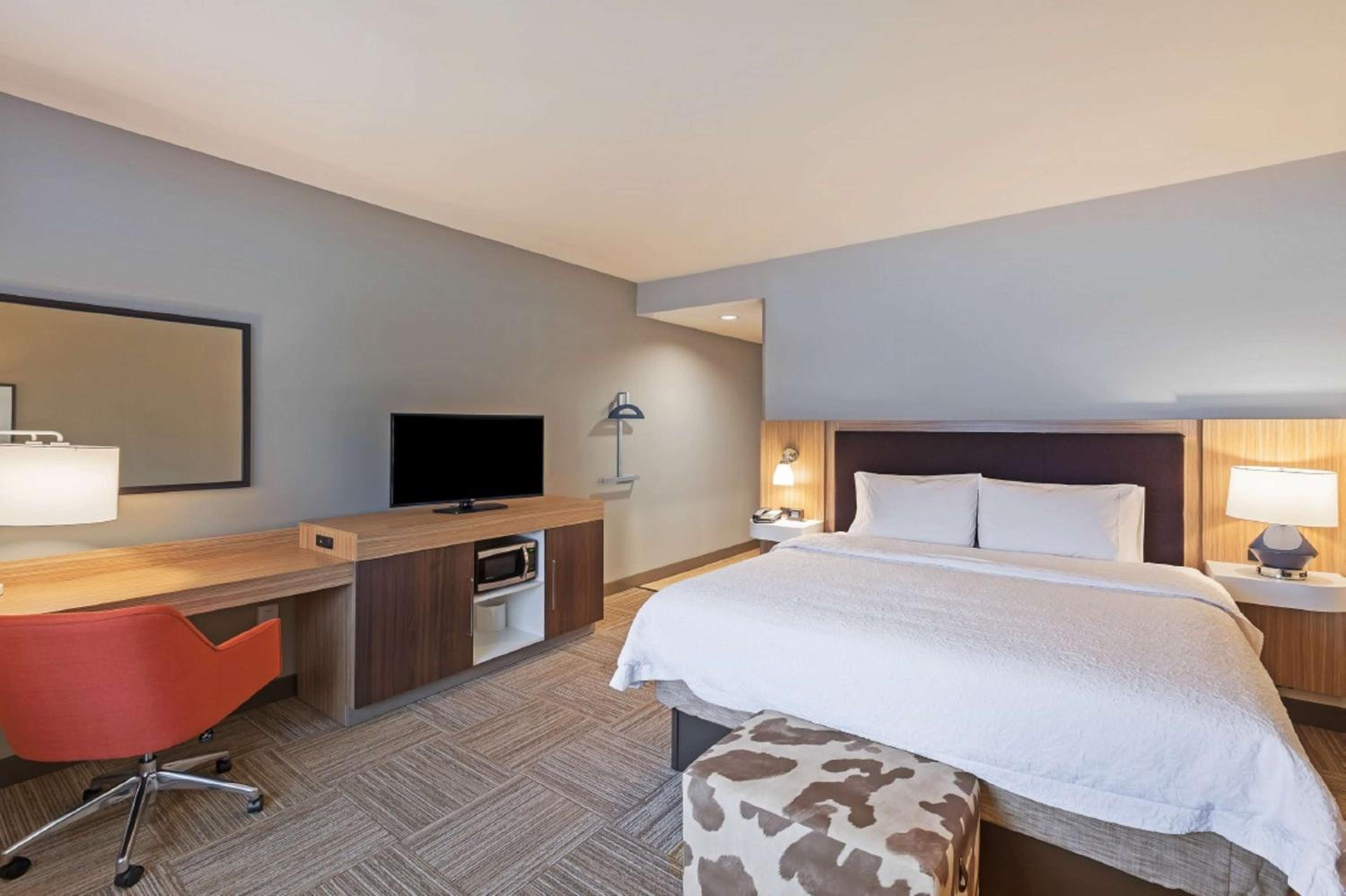 King Room with Sofa Bed - Hearing Accessible/Non-Smoking photo 3