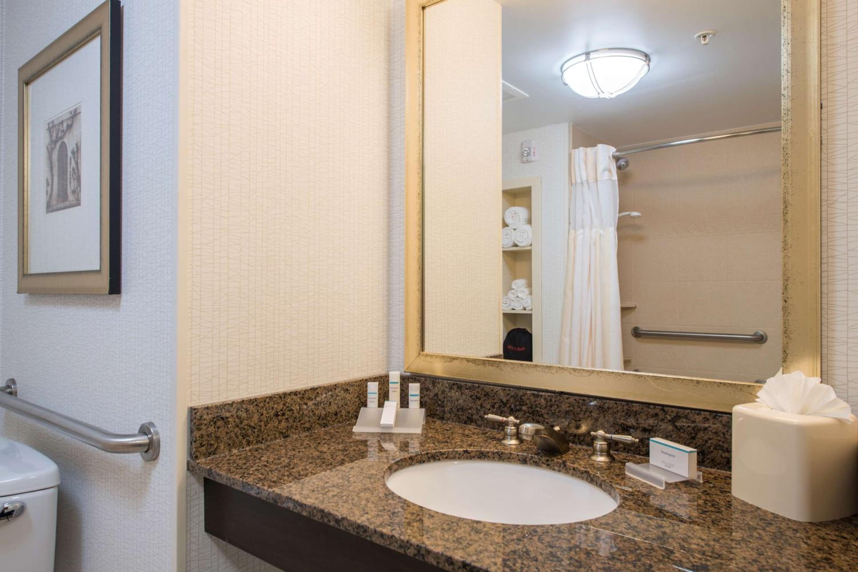 King Room with Tub - Mobility and Hearing Access - Photo 4