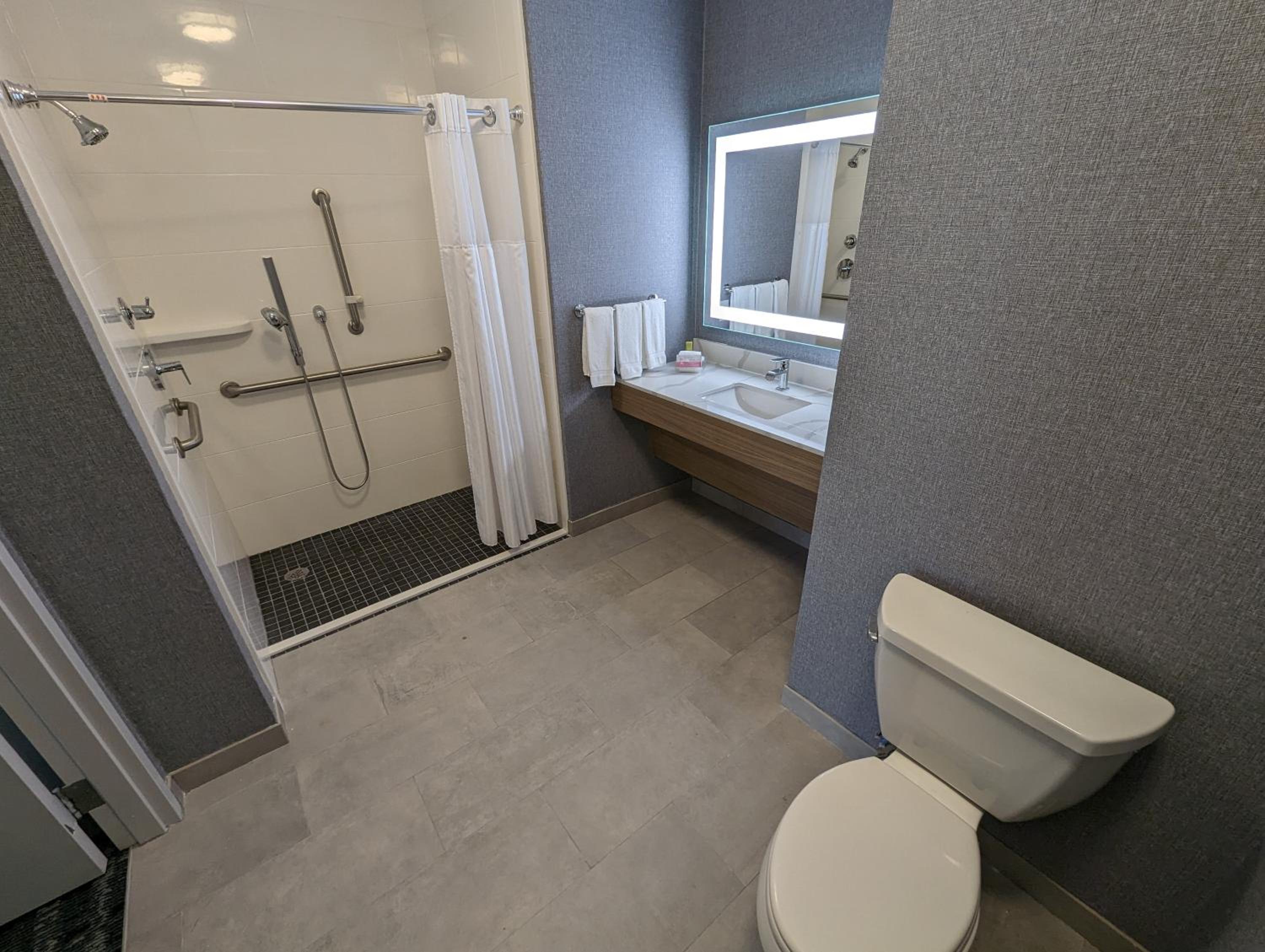 King Suite with Roll-In Shower - Mobility and Hearing Access/Non-Smoking - Photo 5