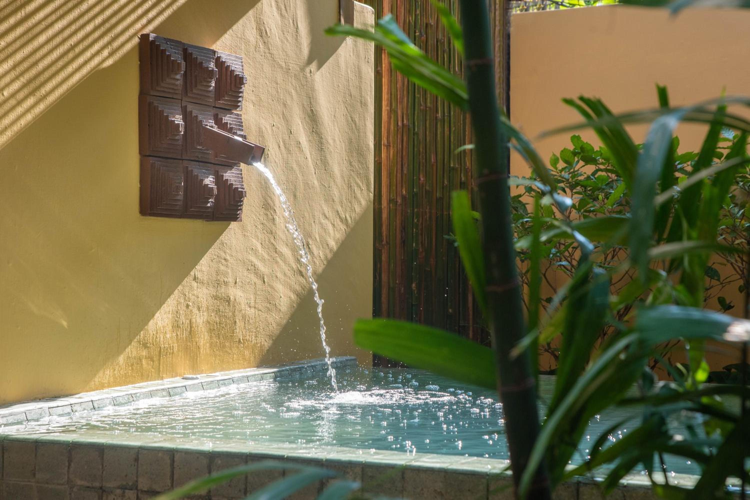 Boutique Garden Pool - Photo 6