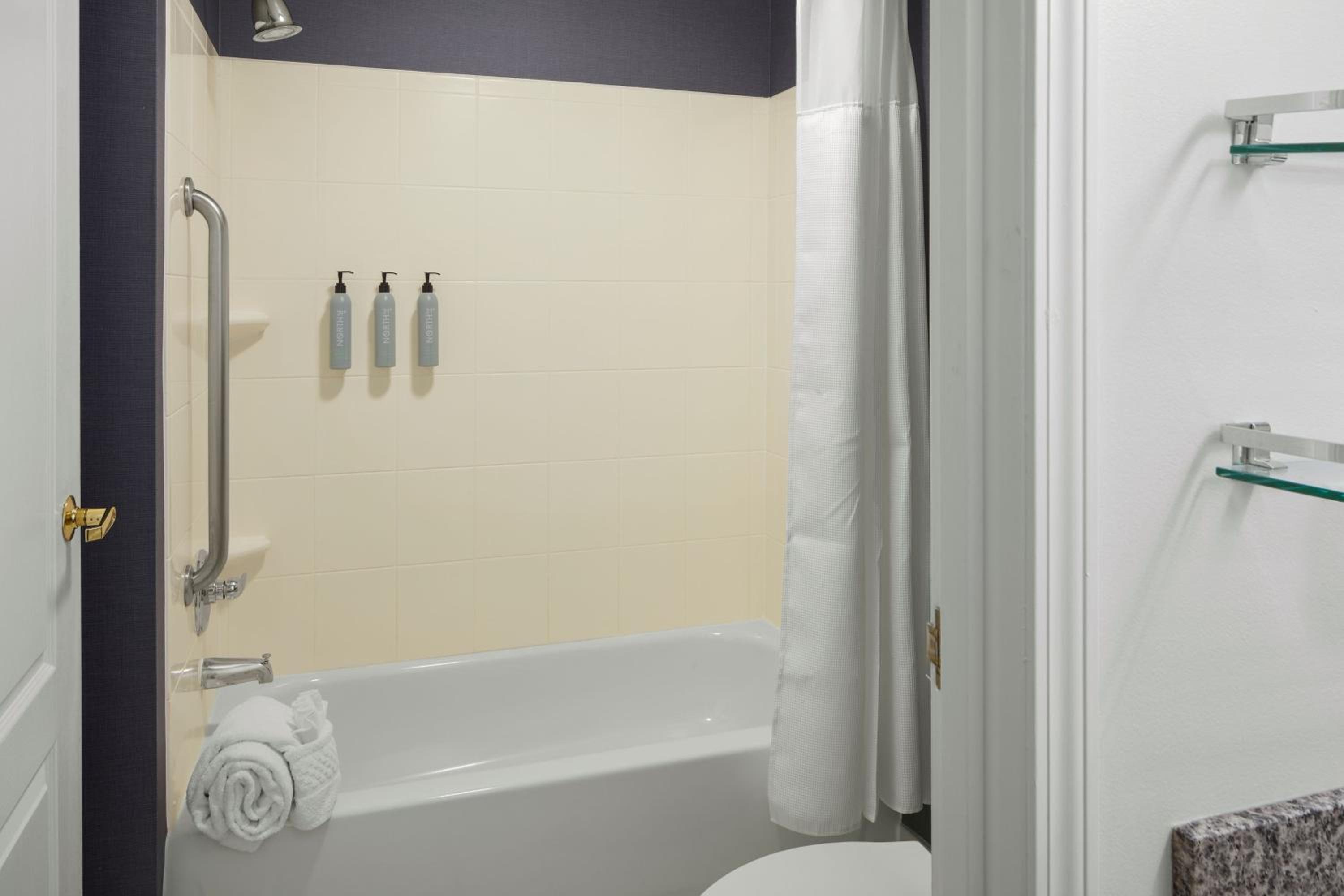 One-Bedroom Queen Suite with Sofa Bed - Photo 3