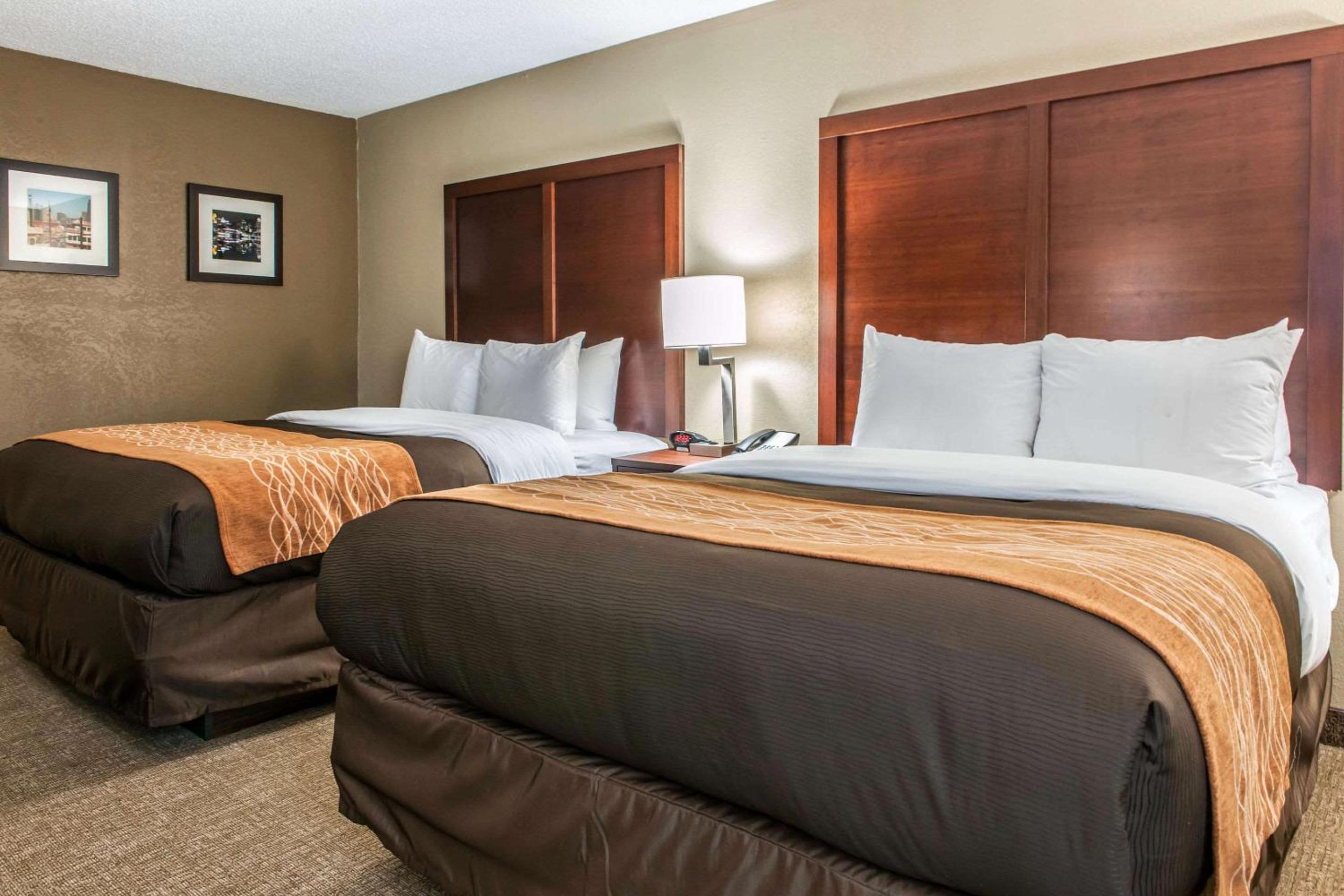 Queen Room with Two Queen Beds - Disability Access - Photo 4