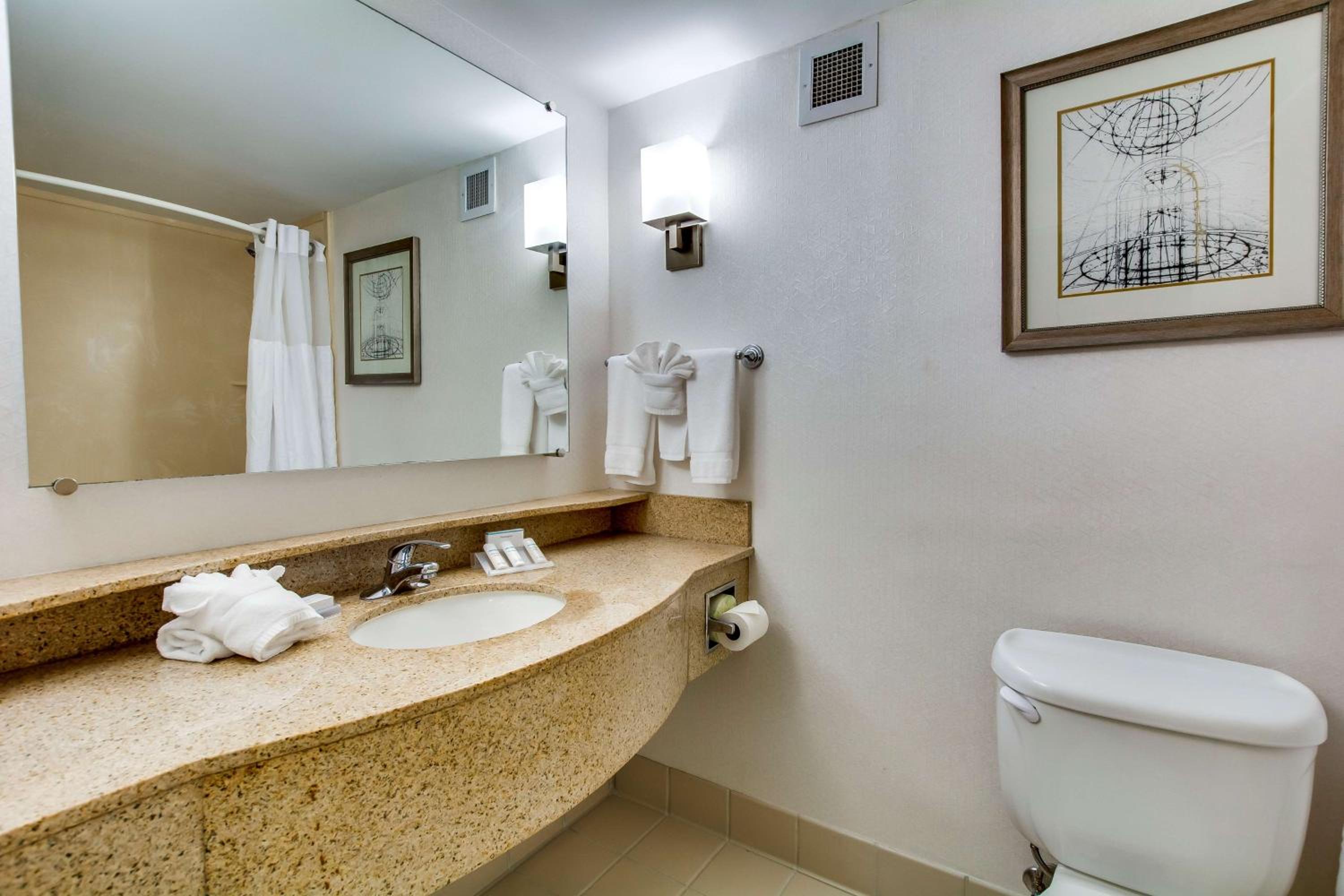 One-Bedroom King Suite with Sofa Bed - Photo 6