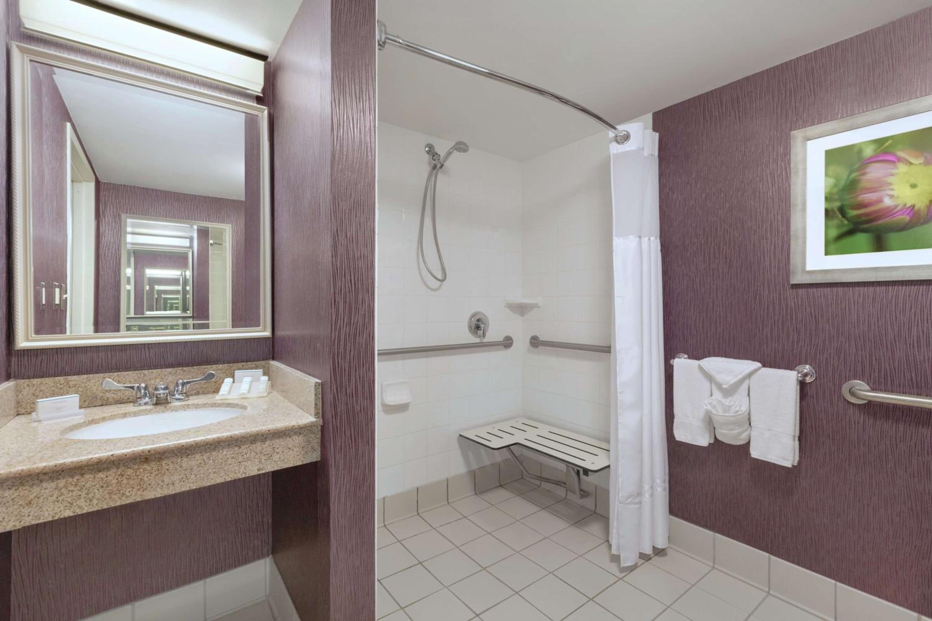King Room with Roll-In Shower - Mobility/Hearing Accessible - Photo 5