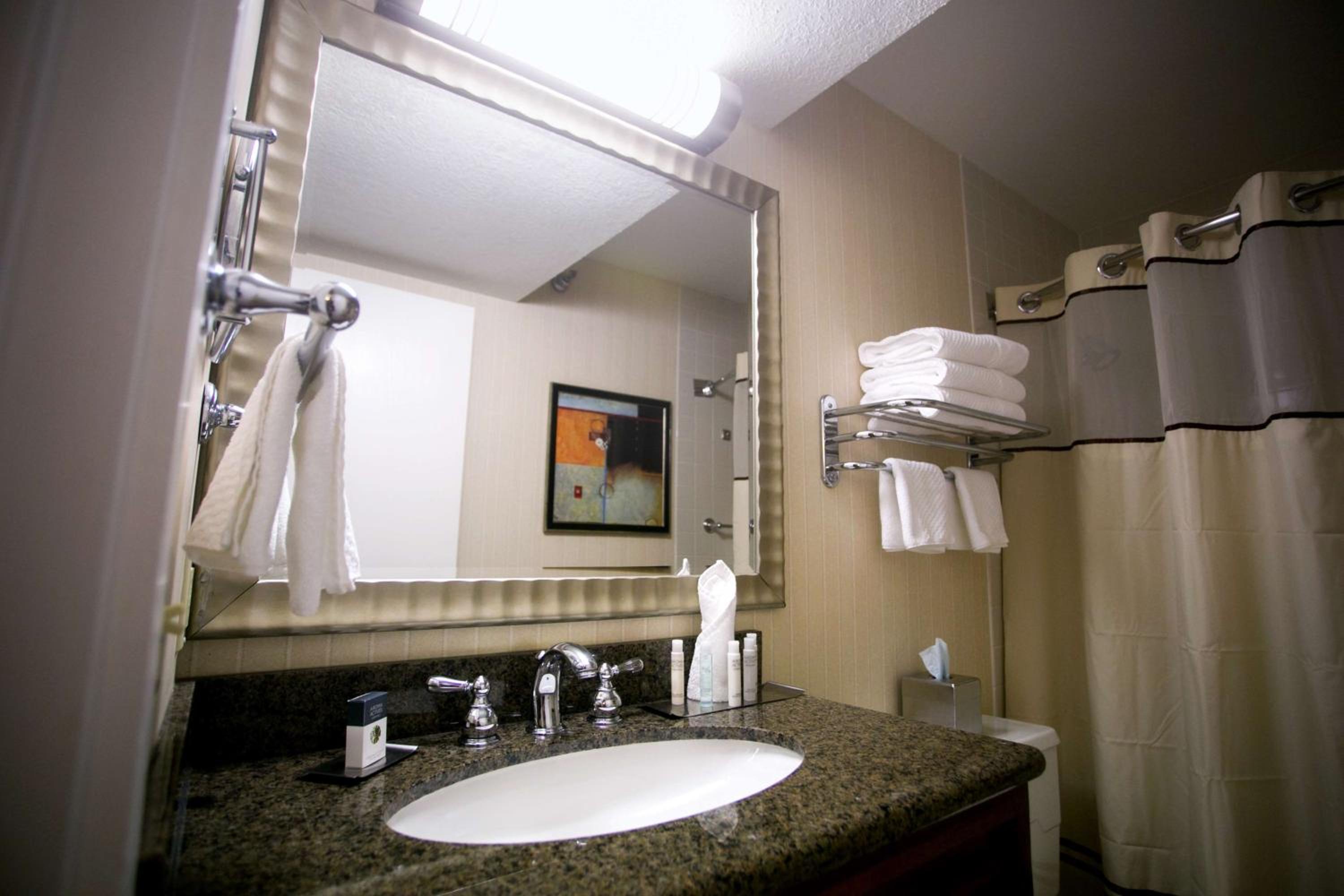 One-Bedroom King Suite - Photo 4