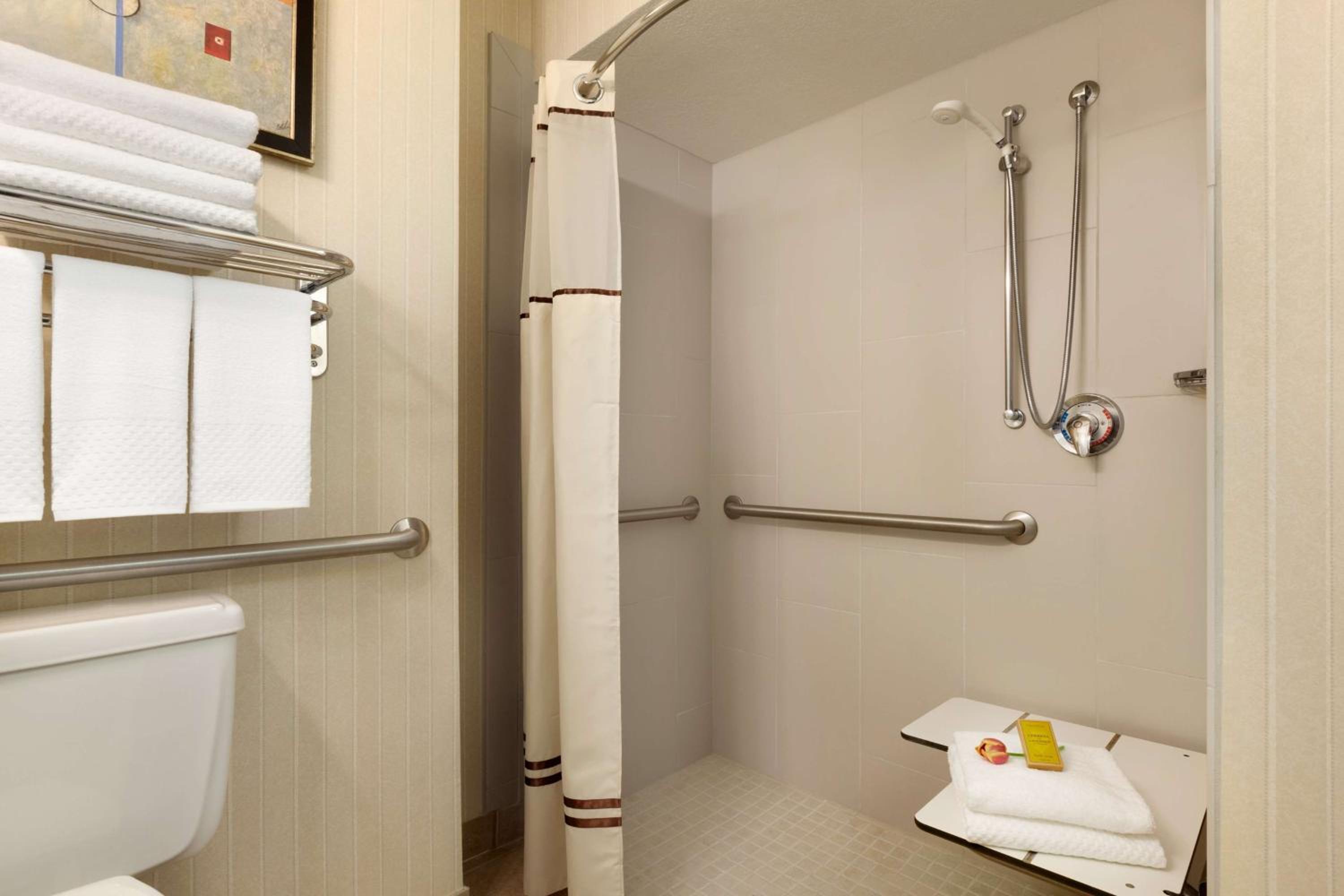 King Room with Roll-In Shower - Mobility Access - Photo 5