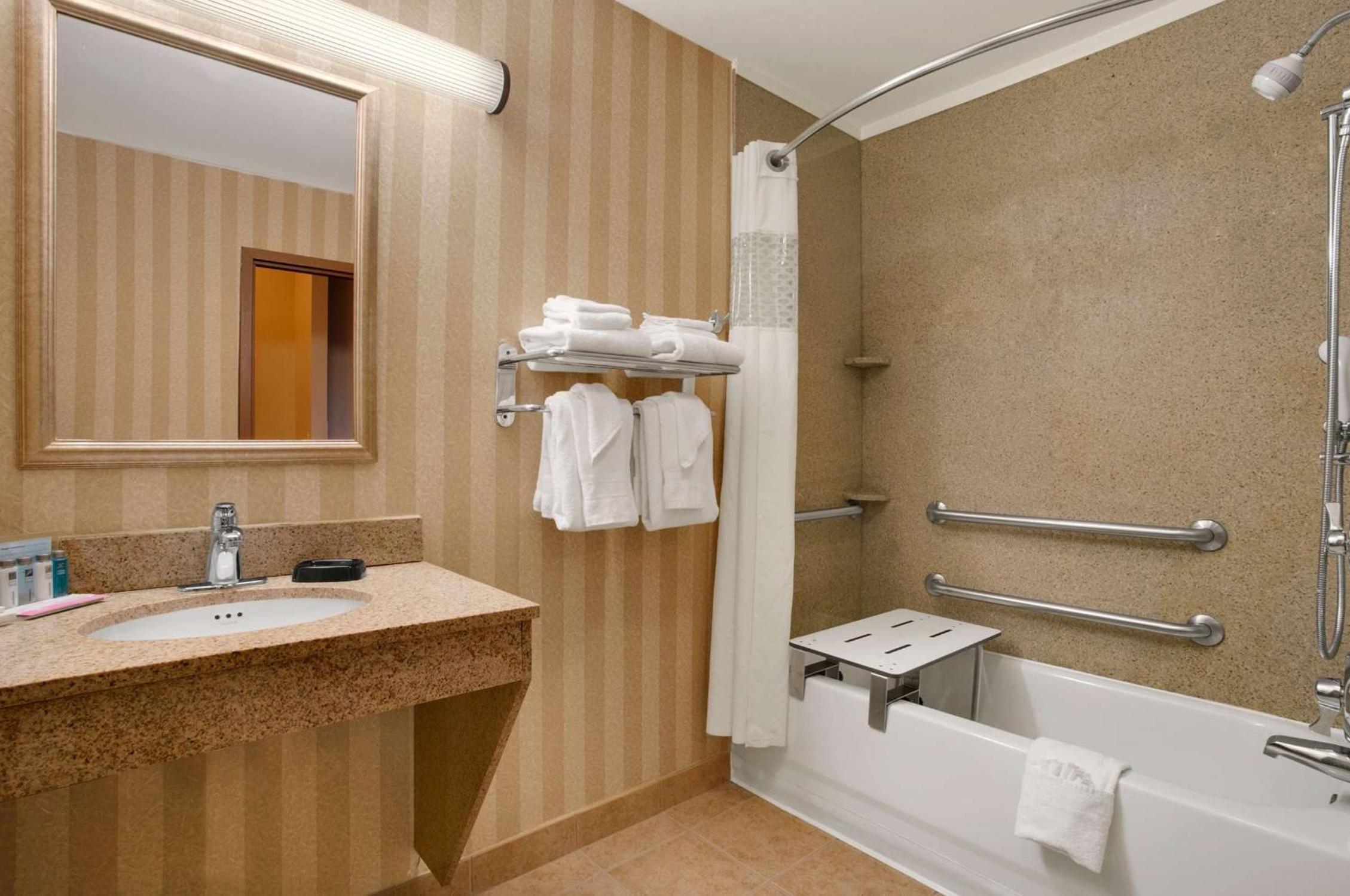 King Studio Suite - Mobility Access/Non-Smoking - Photo 3
