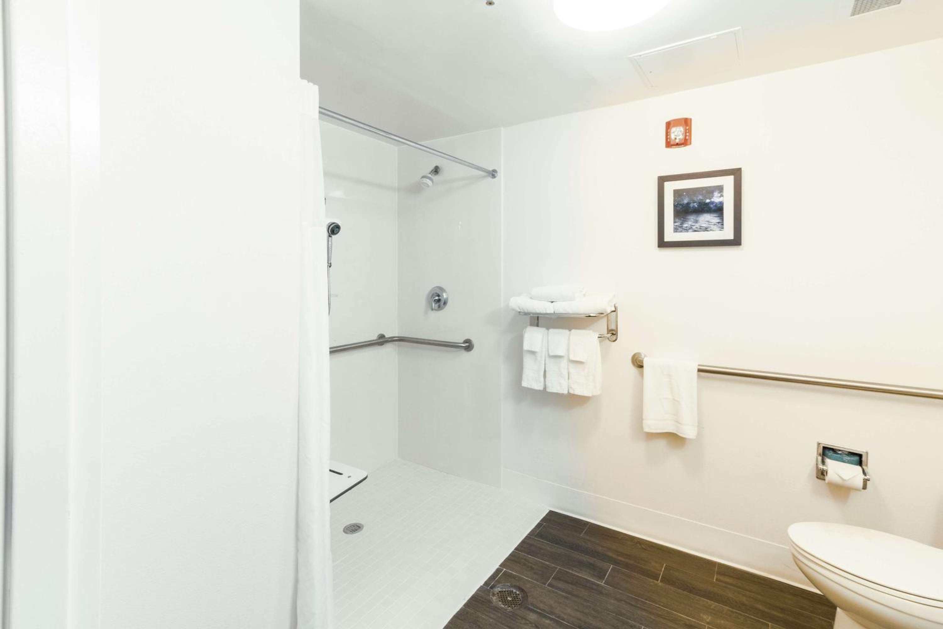 King Studio with Roll-In Shower - Mobility Access/Non-Smoking - Photo 2