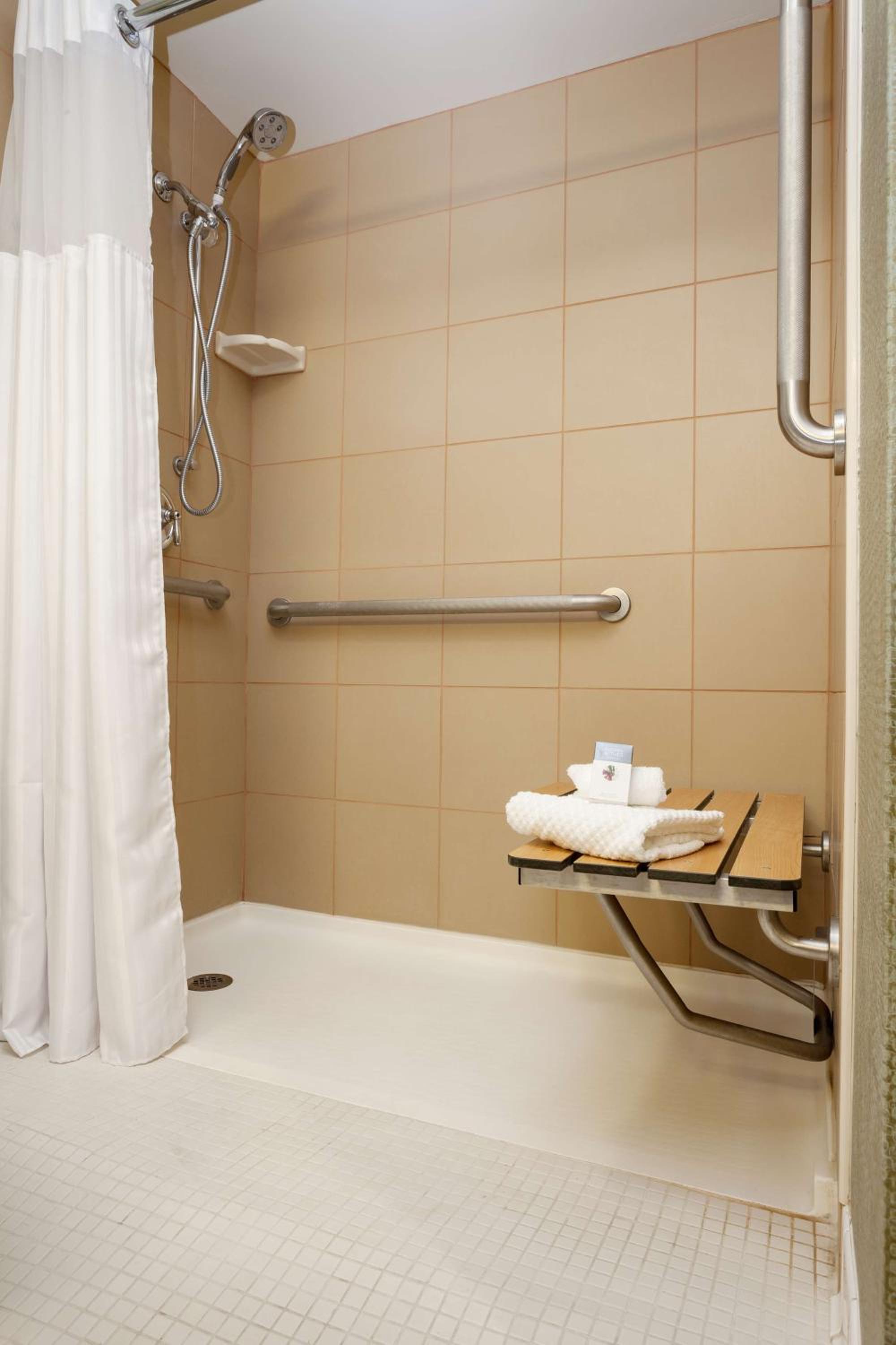 Queen Room - Mobility/Hearing Accessible with Roll-In Shower - Photo 2
