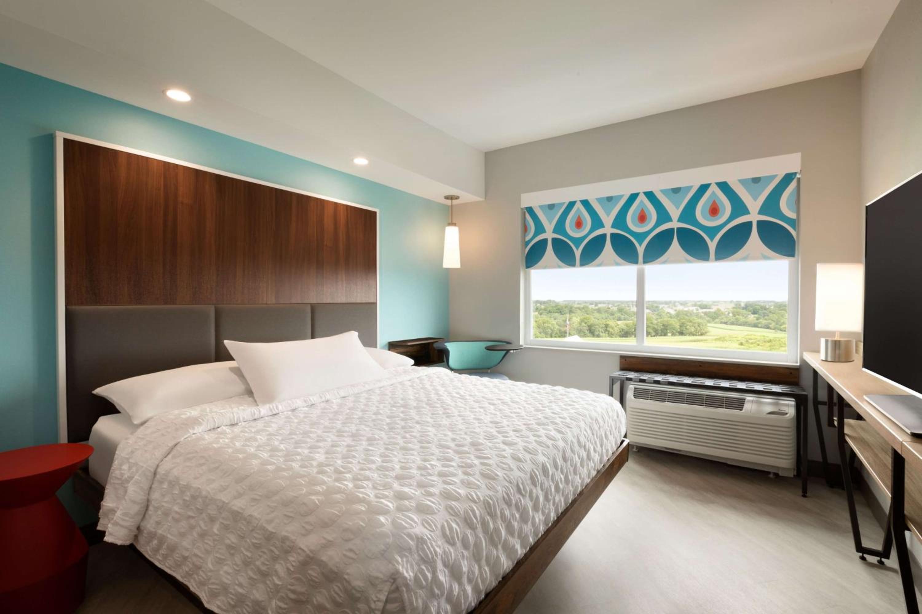 King Room photo 1