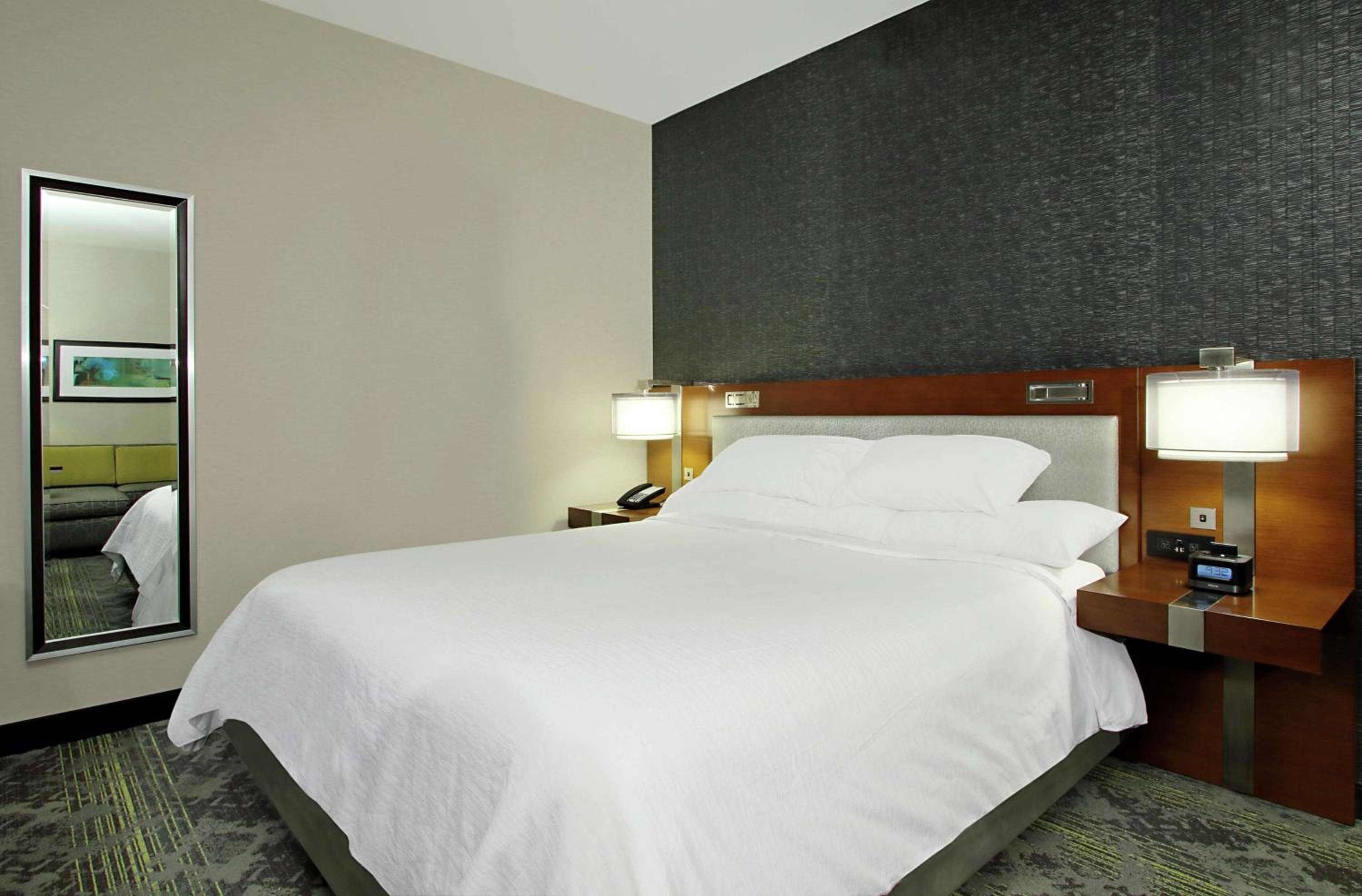 King Studio Suite photo 1