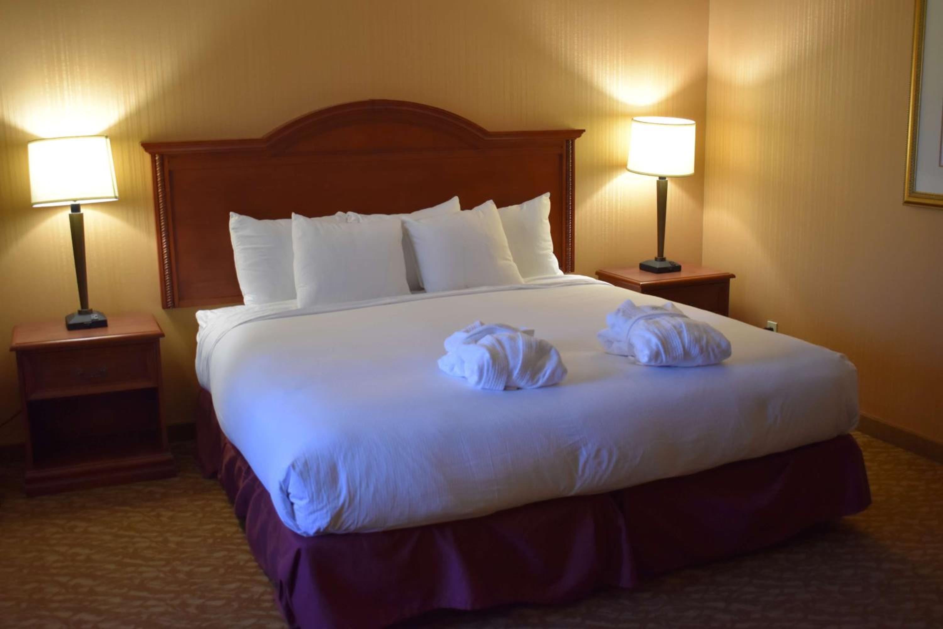 King Suite with Sofa Bed - Non-Smoking - Photo 2