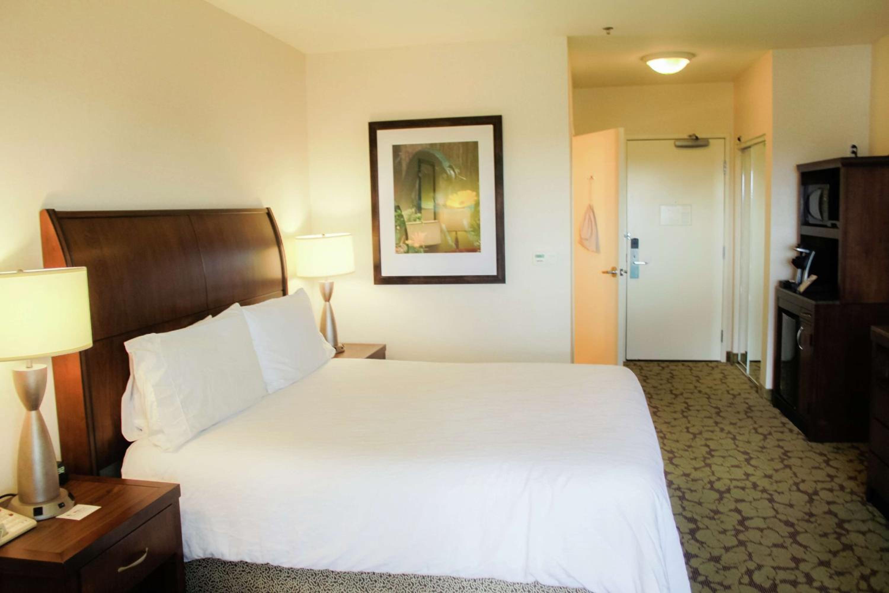 King Room photo 1