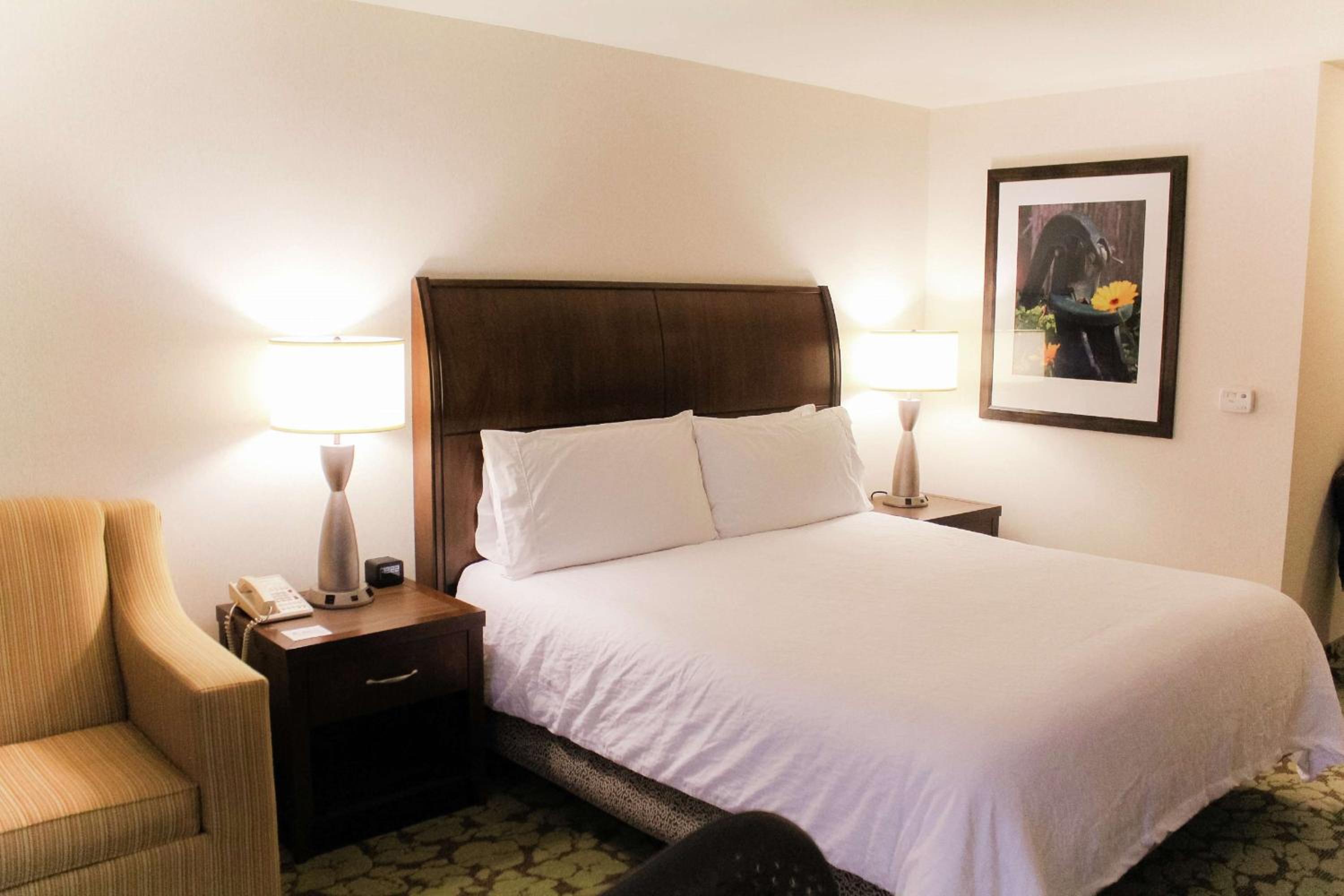 King Room photo 2