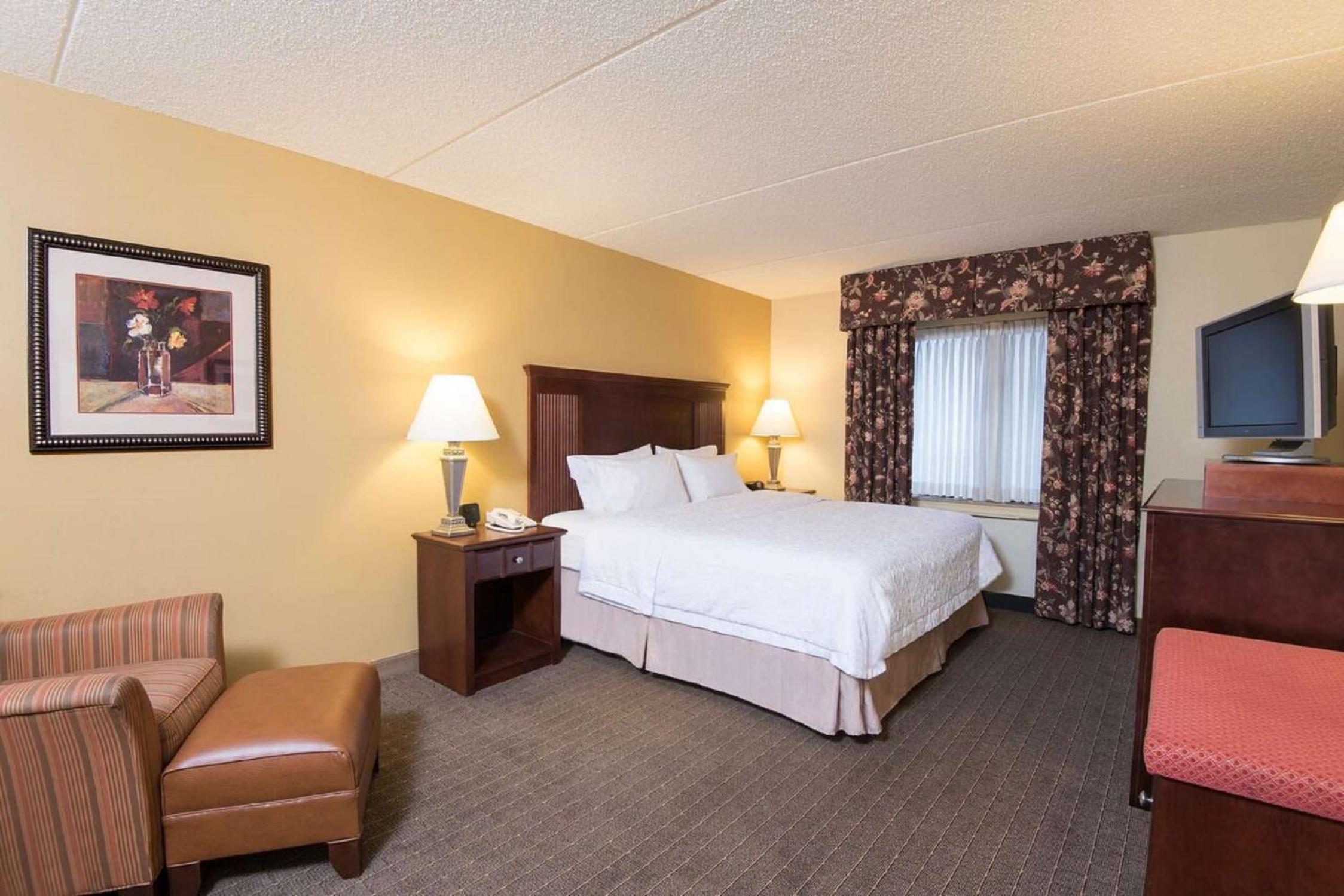 King Room - Non-Smoking photo 3