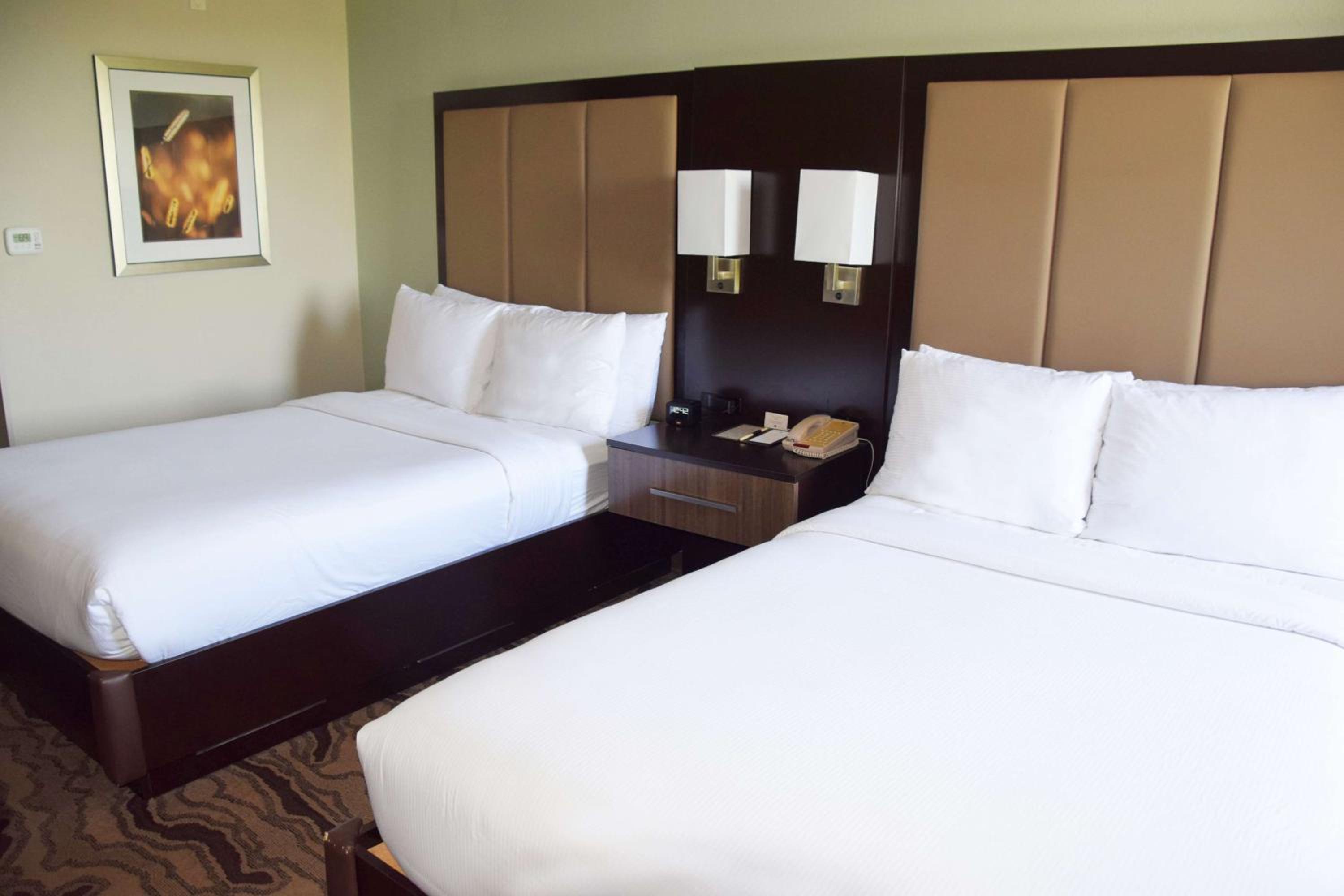 Suite with Two Double Beds and Kitchen - Photo 2