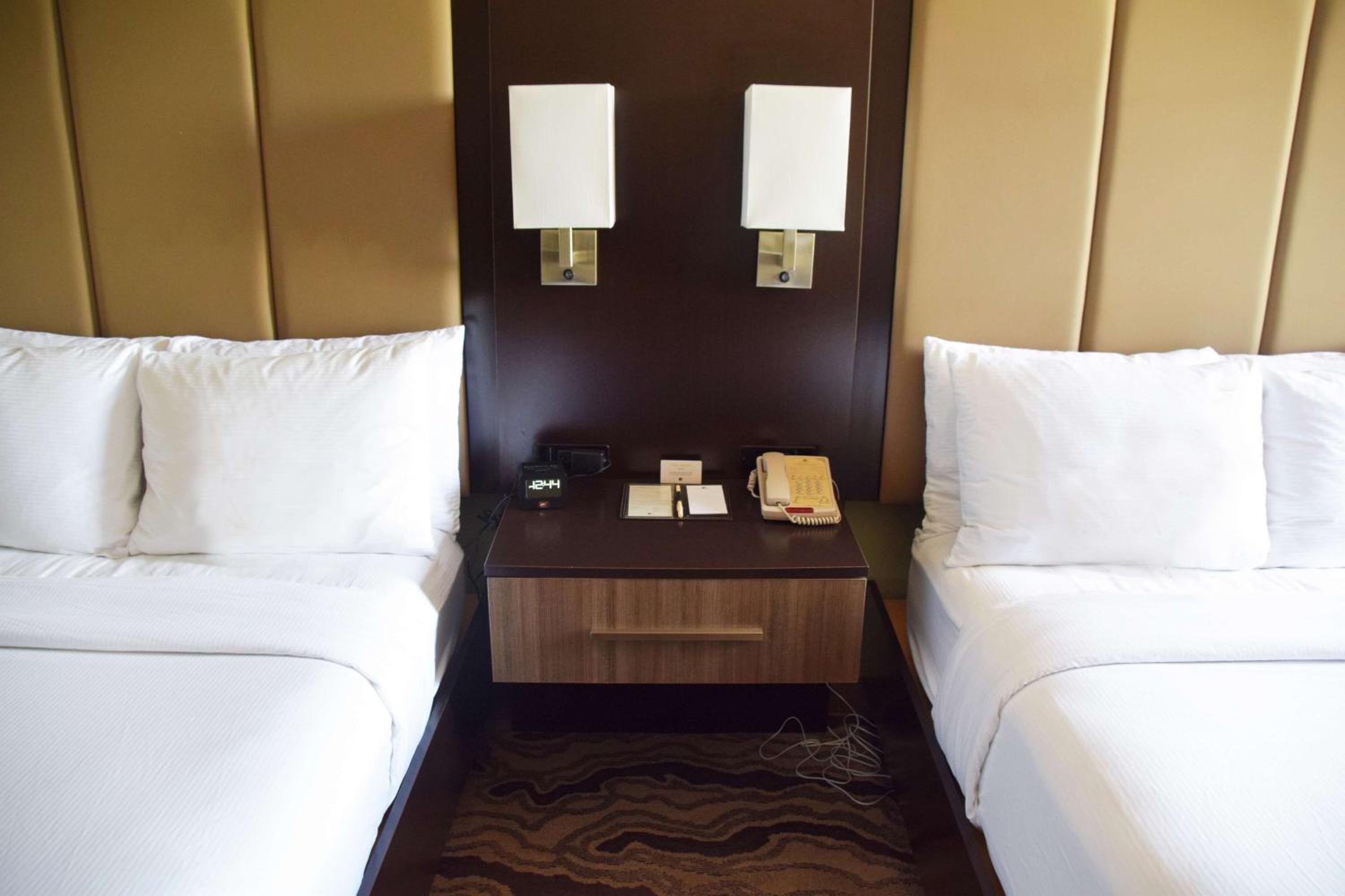 Suite with Two Double Beds and Kitchen - Photo 1