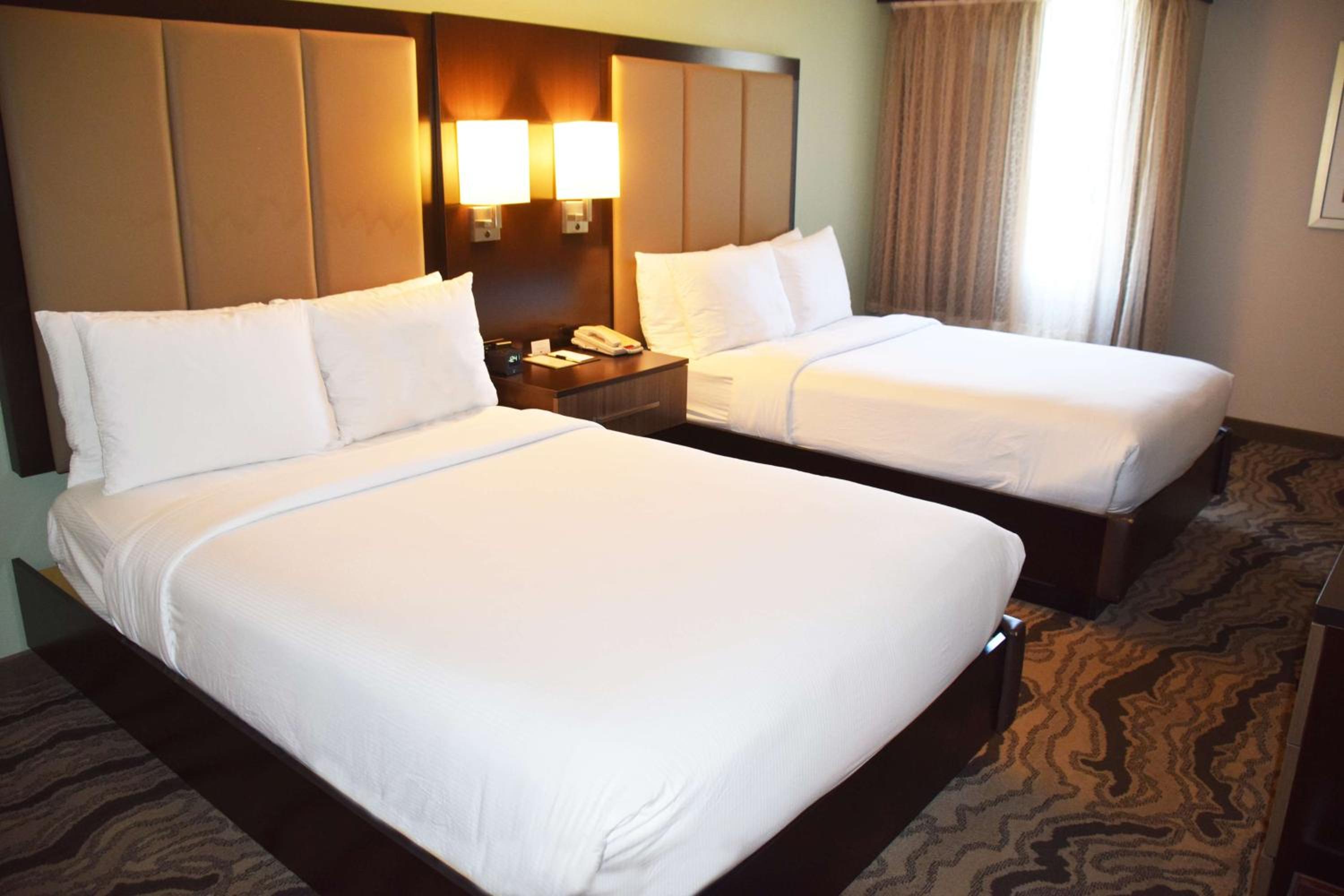 Suite with Two Double Beds and Kitchen - Photo 5