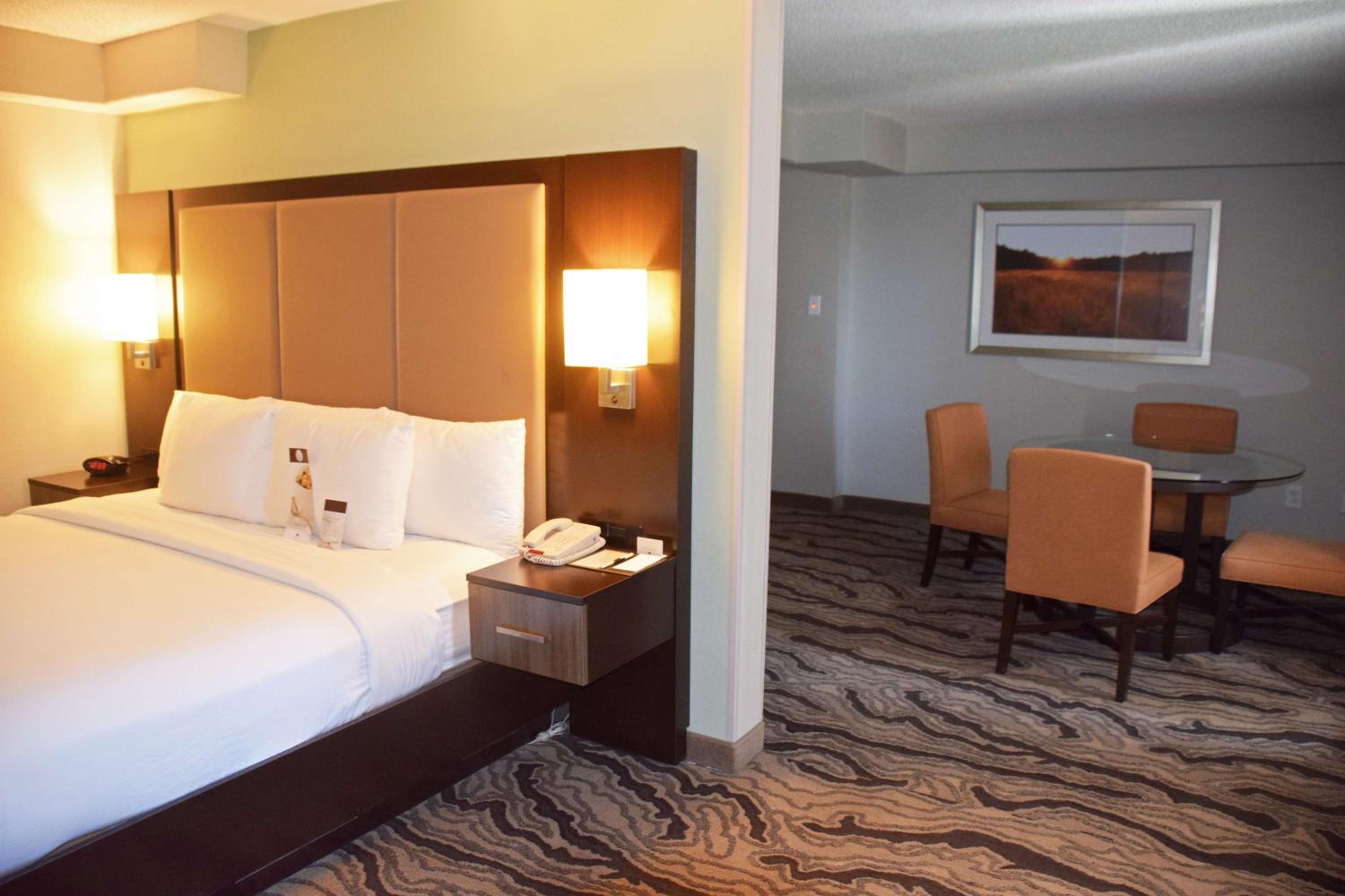 Deluxe King Suite with Kitchen - Photo 1