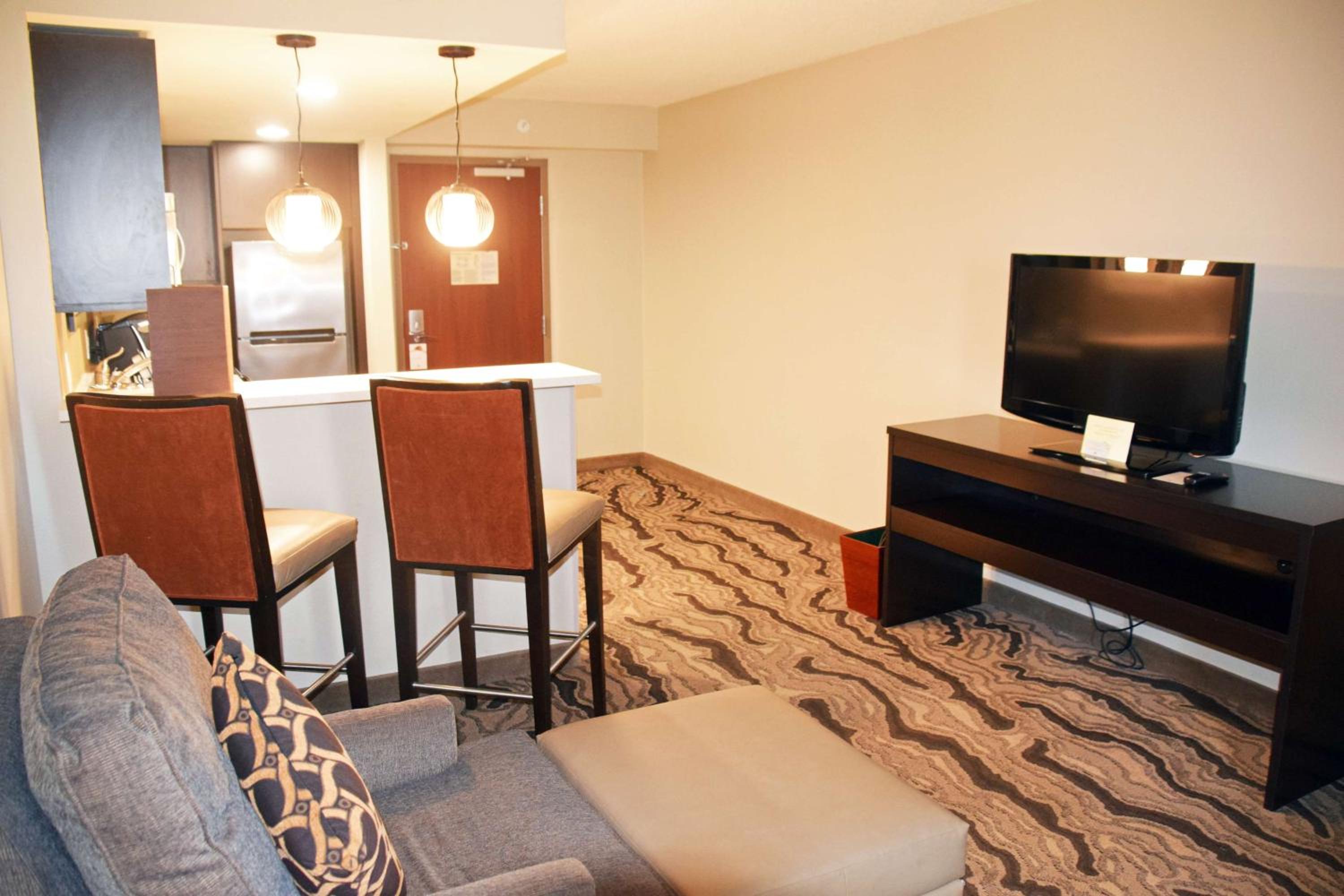 Deluxe King Suite with Kitchen - Photo 8