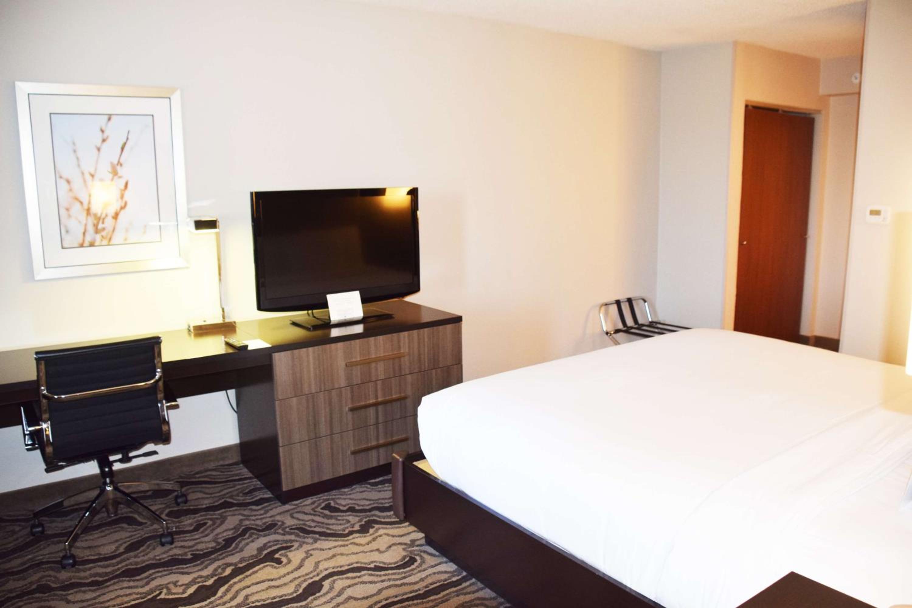 Deluxe King Suite with Kitchen - Photo 4