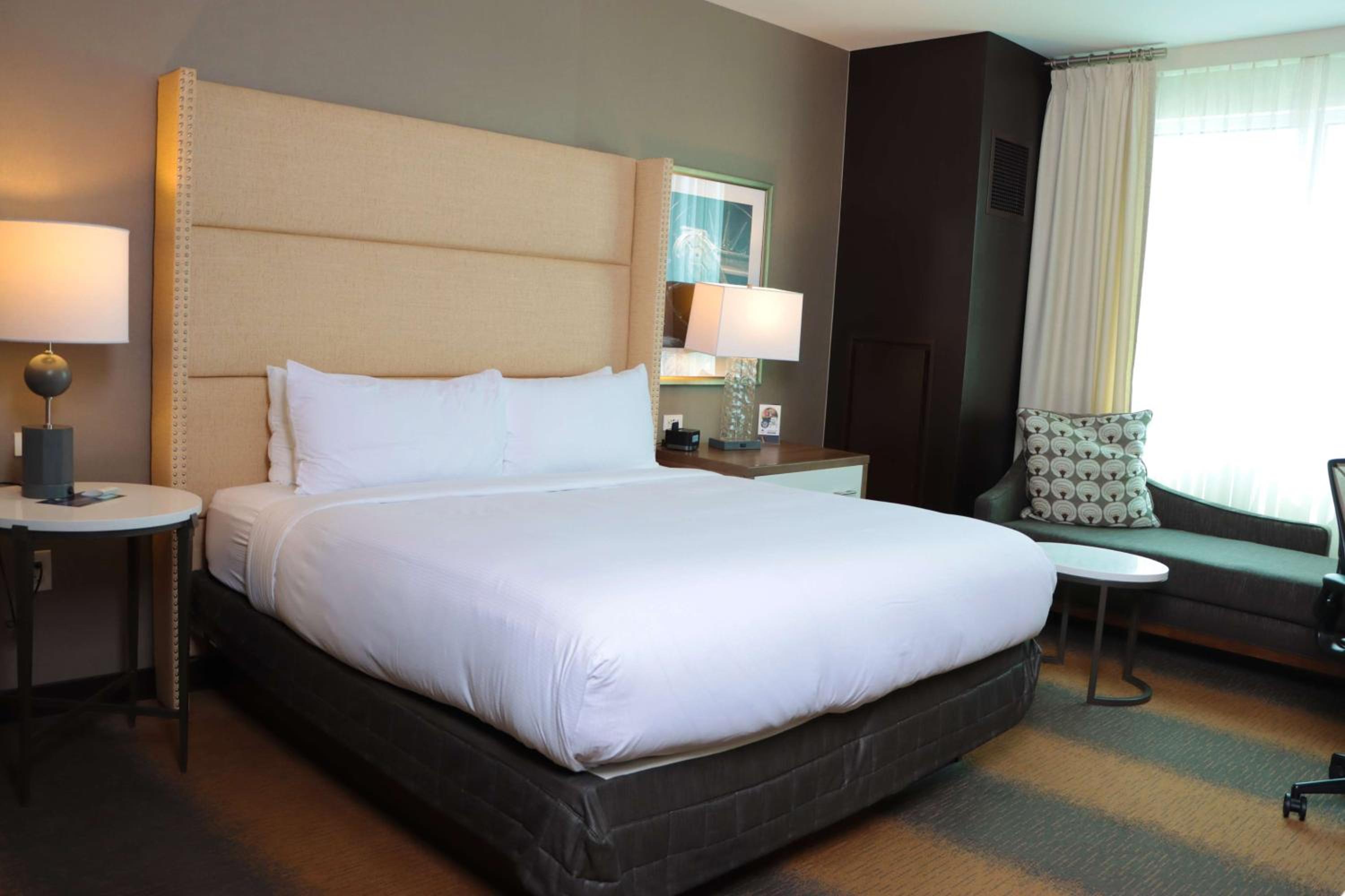 King Room photo 3