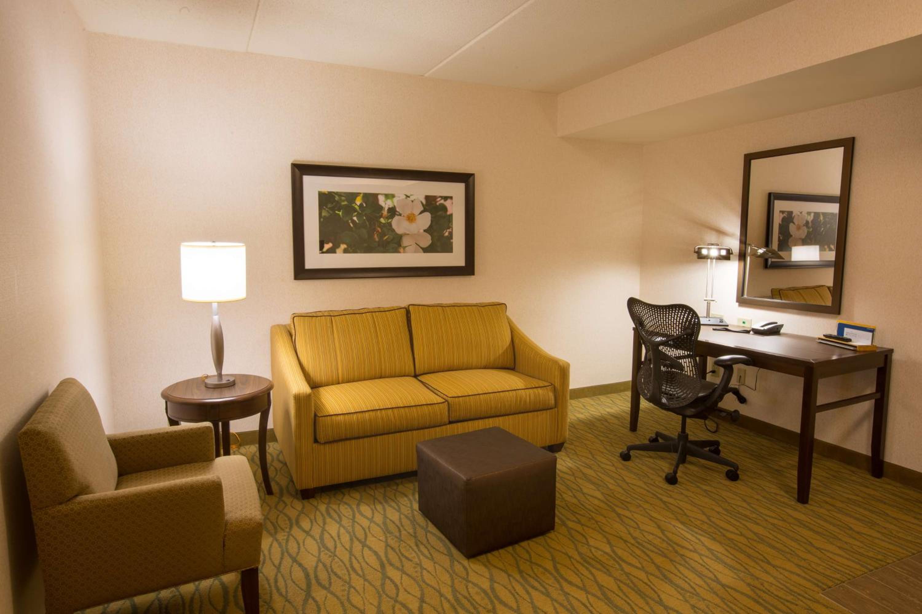 Junior King Suite with Bath Tub - Mobility Access
