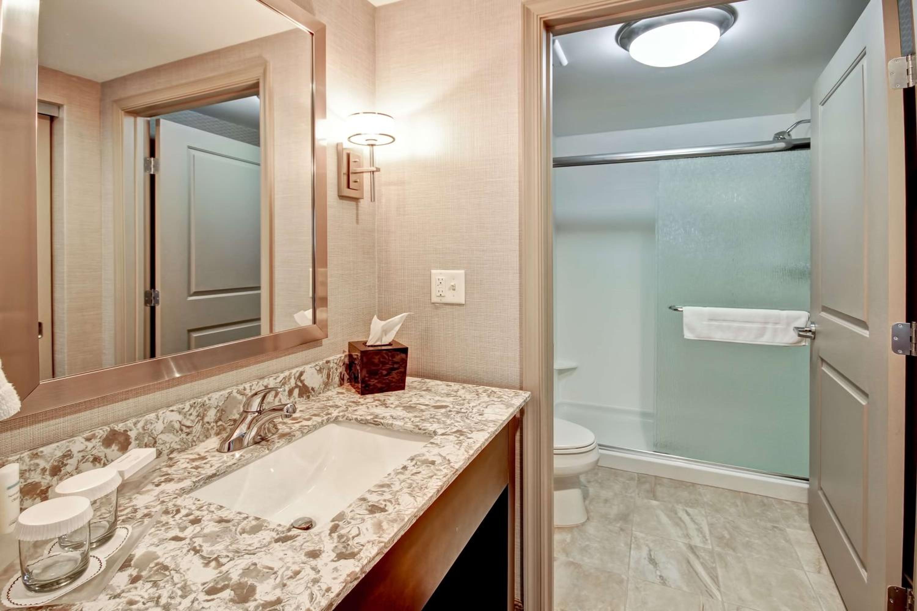 One-Bedroom King Suite - Non-Smoking