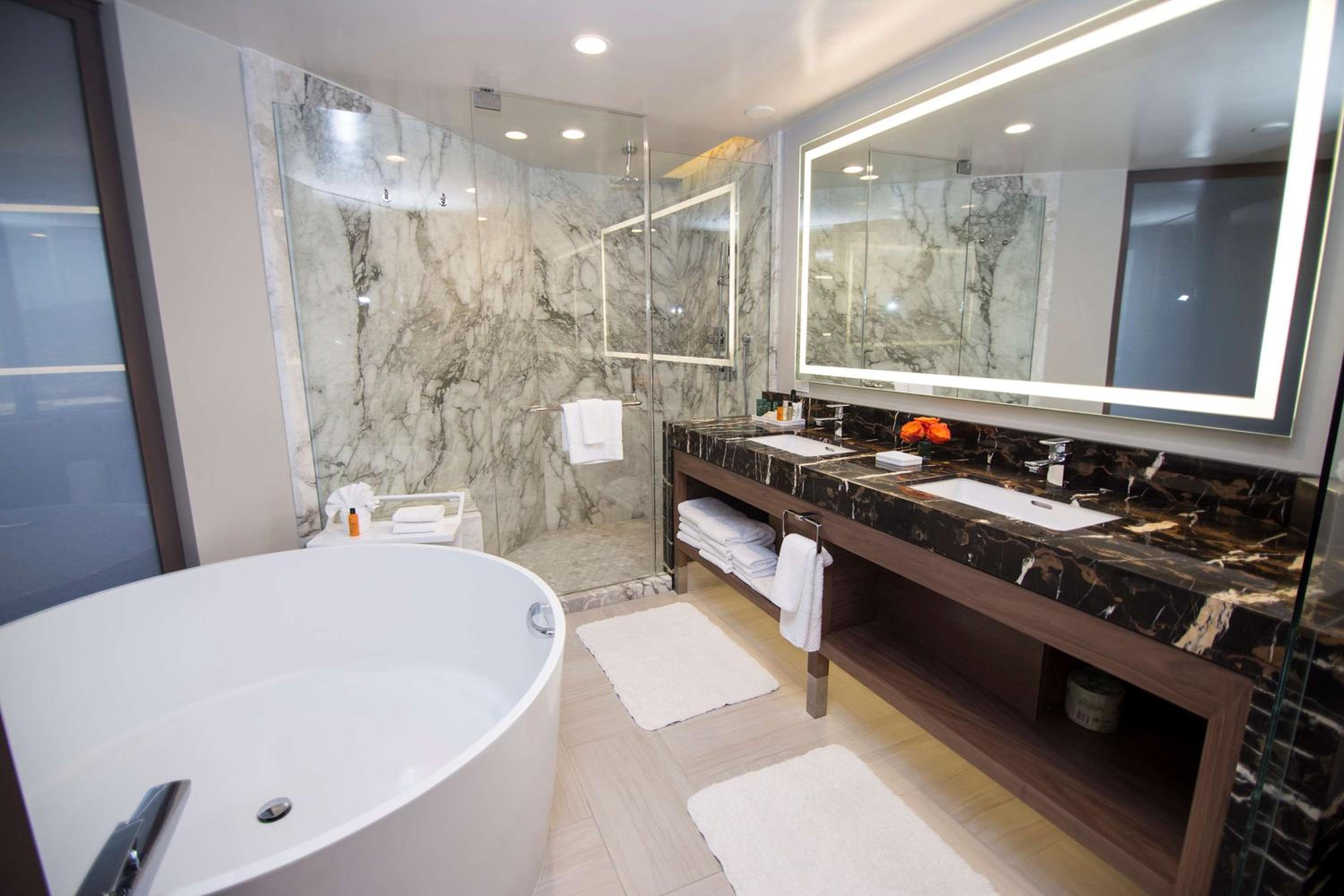 Diplomat Suite with King Bed