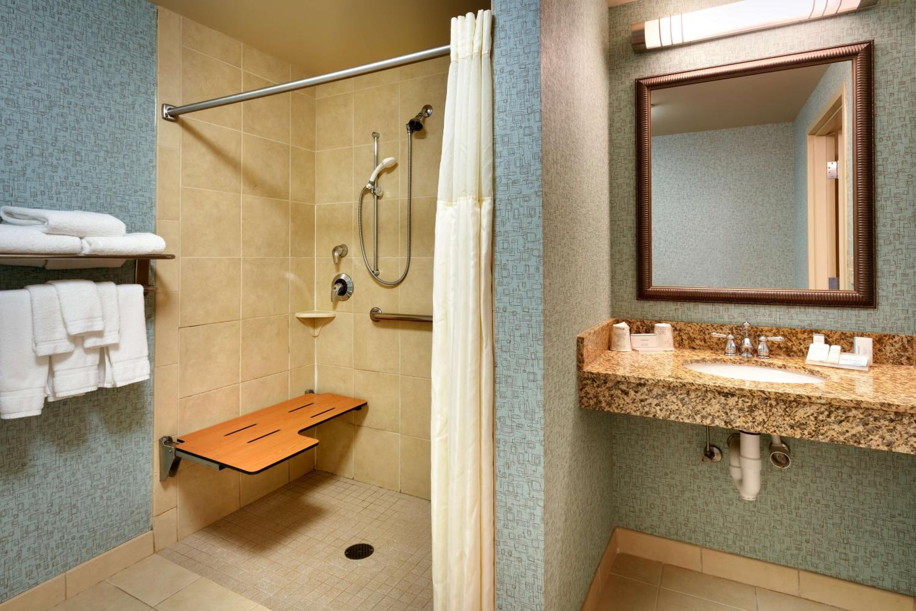 King Room with Roll-In Shower - Disability/ Hearing Accessible photo 2